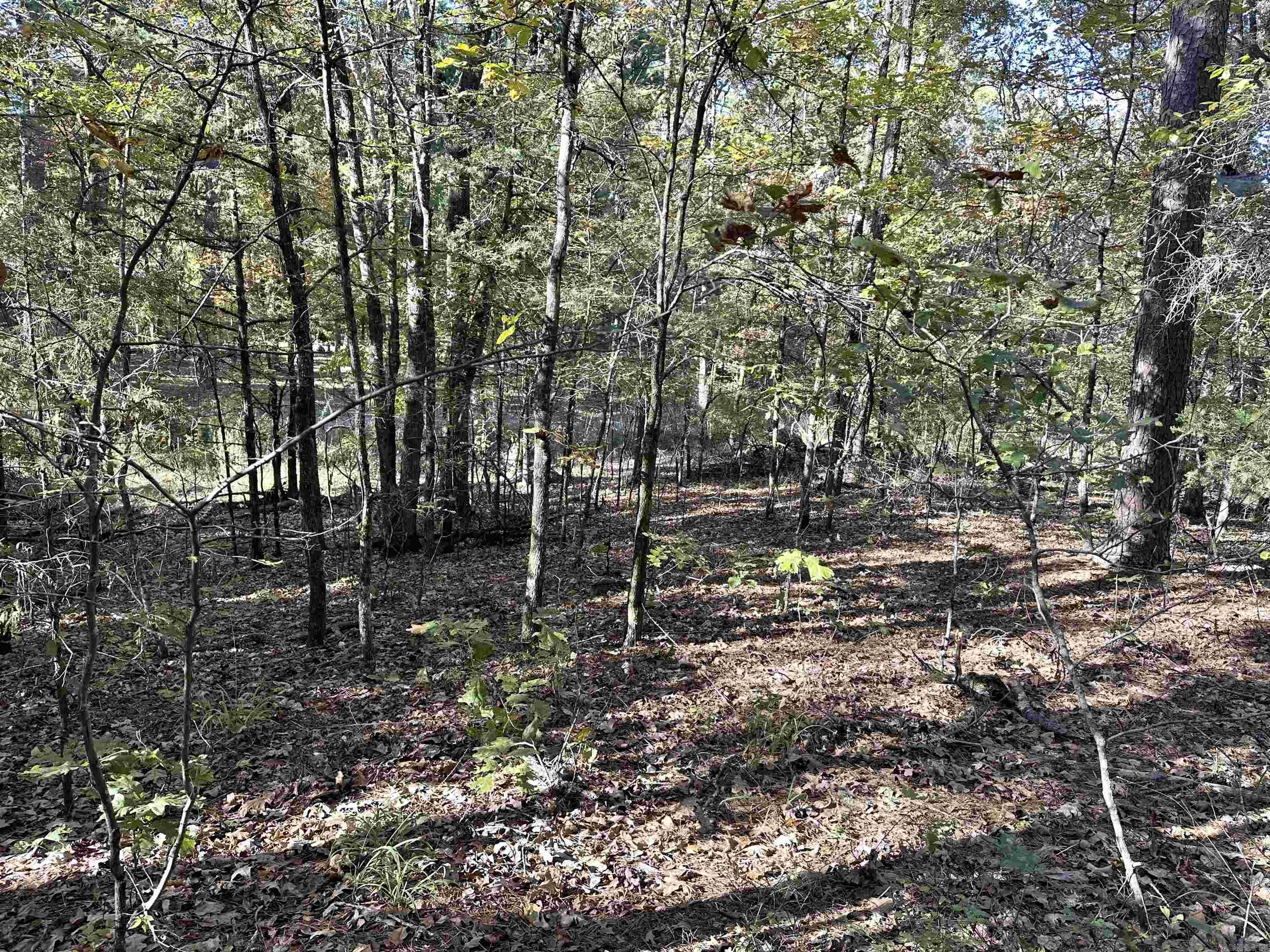 226 Cathedral Pines Ln  Mena, AR