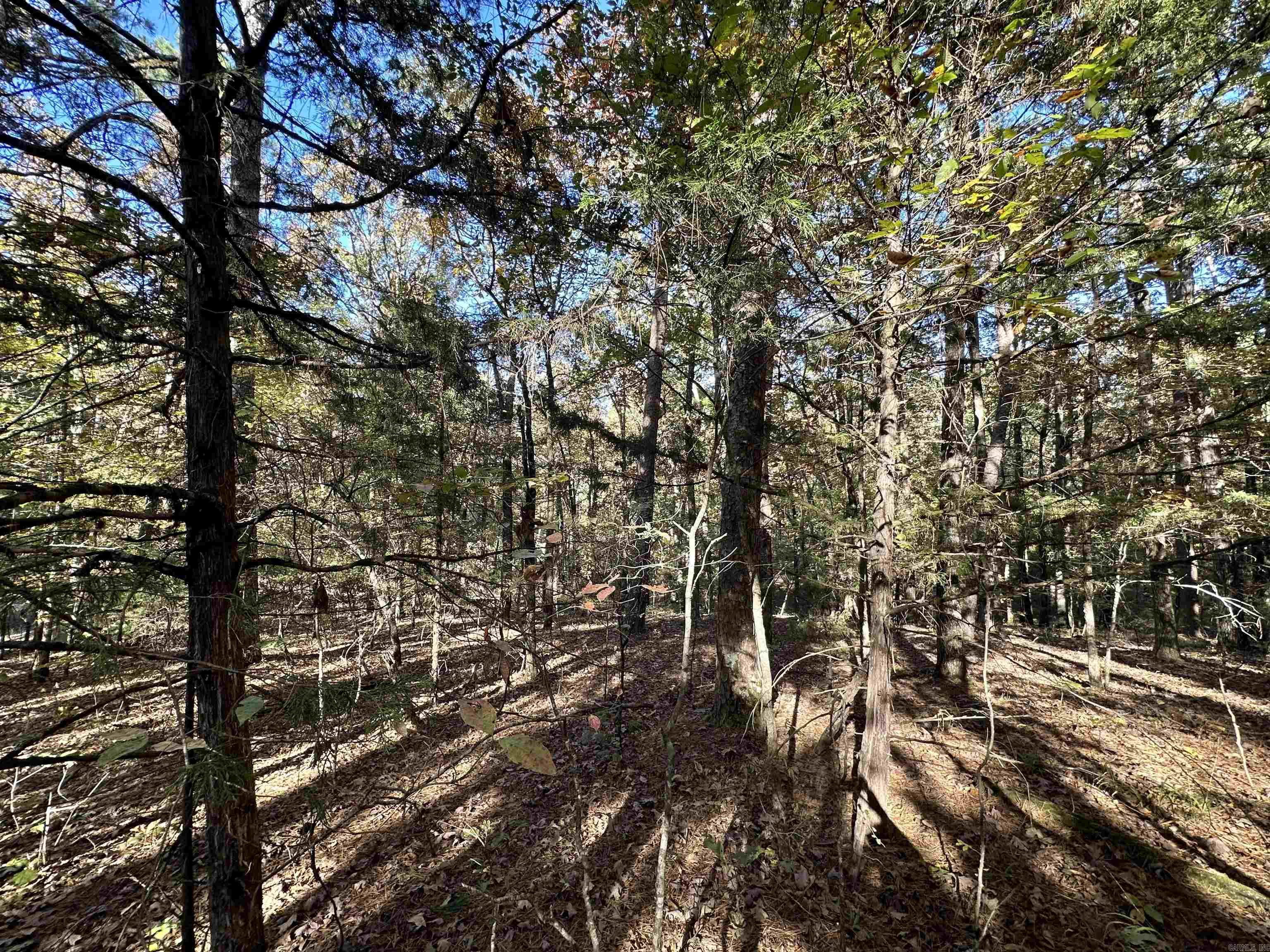 226 Cathedral Pines Ln  Mena, AR