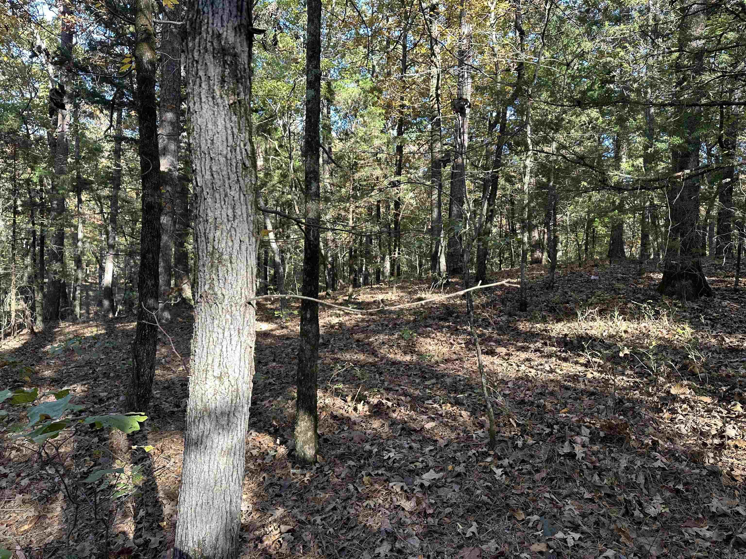 226 Cathedral Pines Ln  Mena, AR