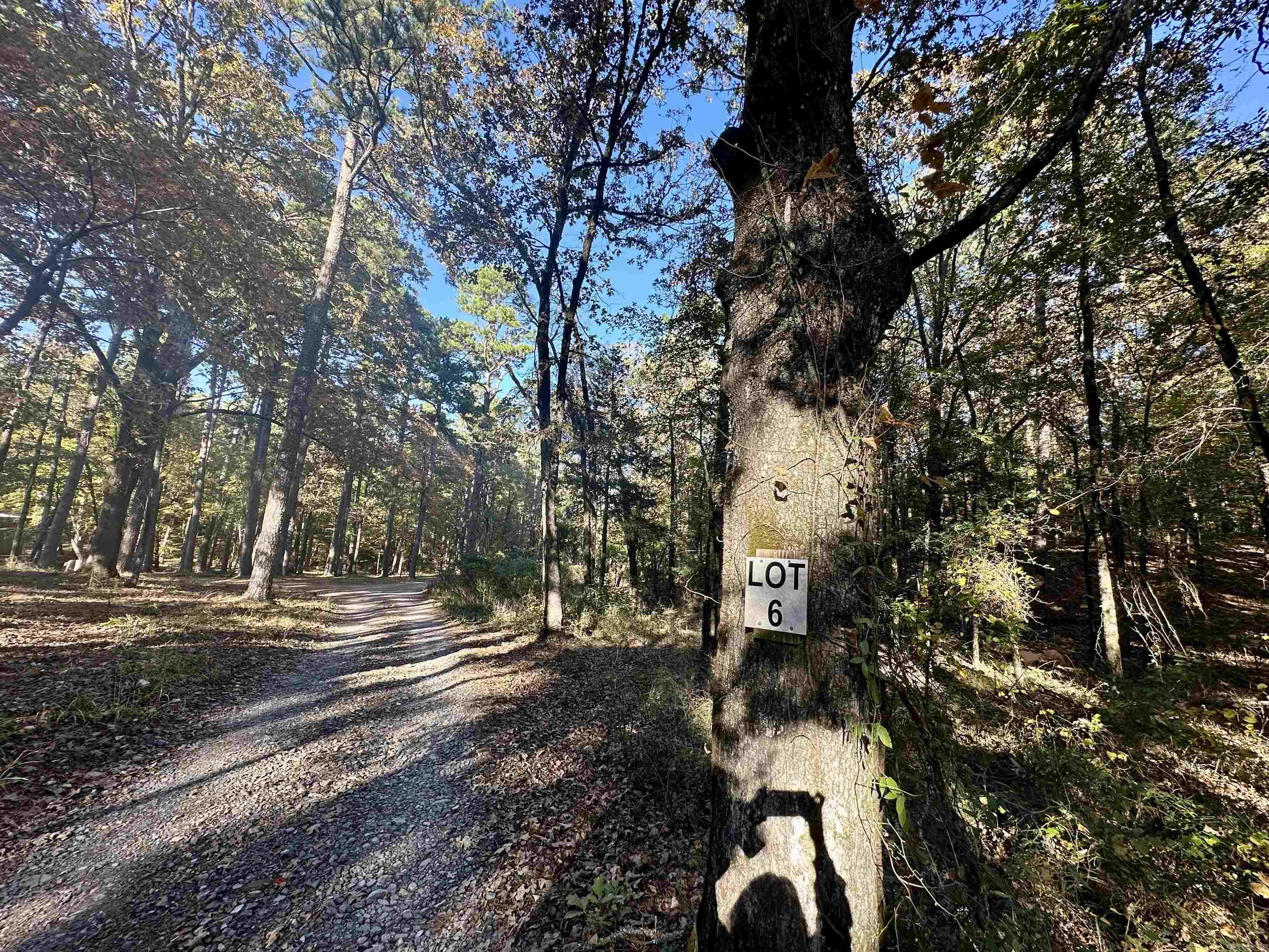 226 Cathedral Pines Ln  Mena, AR