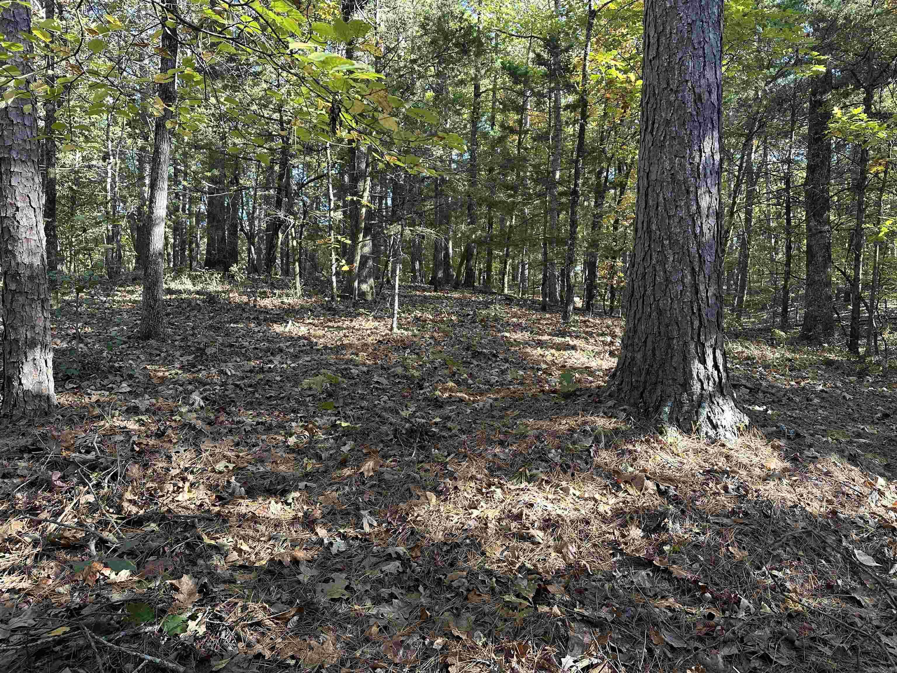 226 Cathedral Pines Ln  Mena, AR