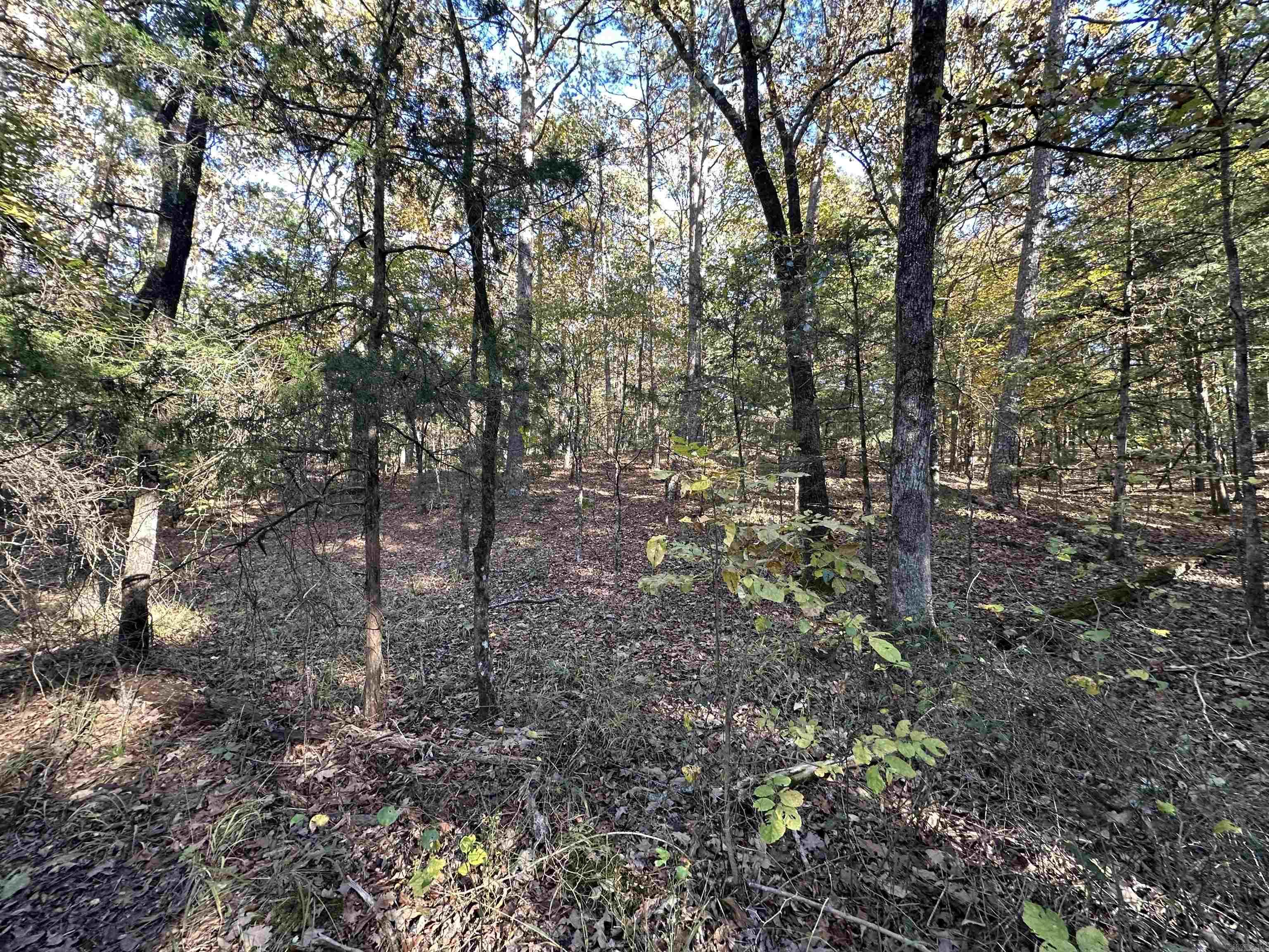 226 Cathedral Pines Ln  Mena, AR