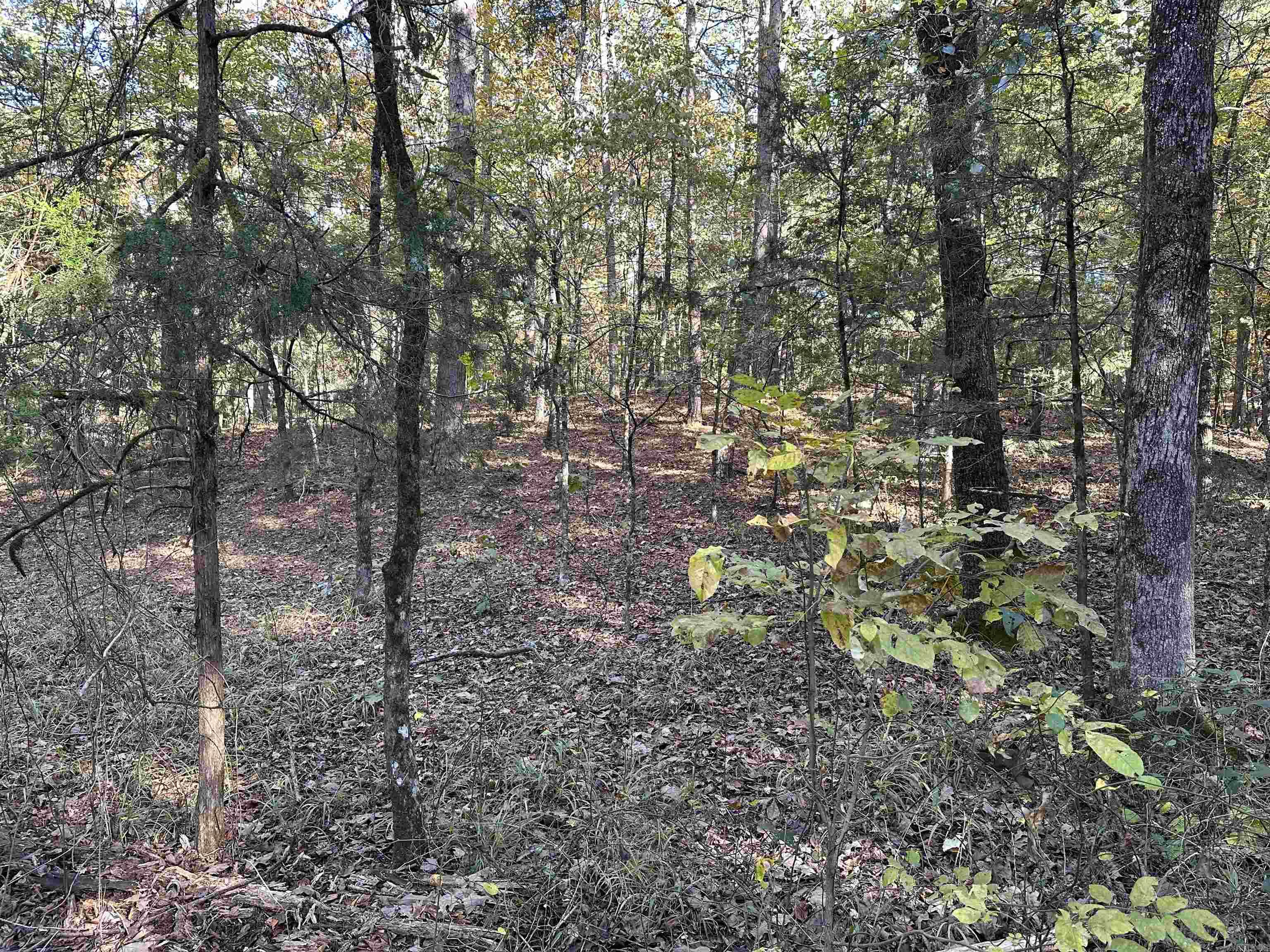 226 Cathedral Pines Ln  Mena, AR