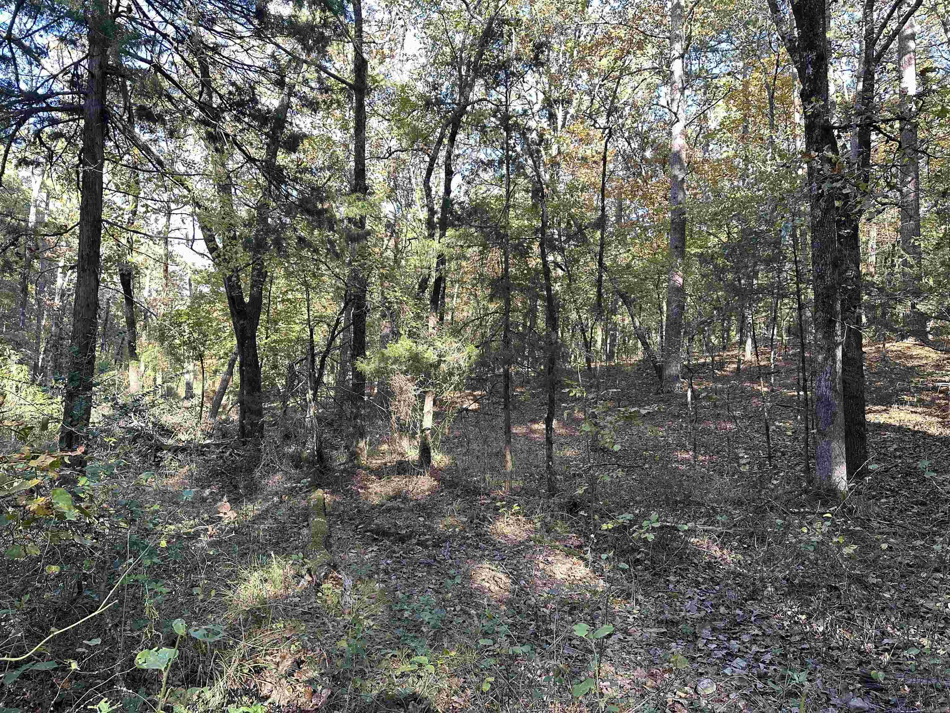 226 Cathedral Pines Ln  Mena, AR