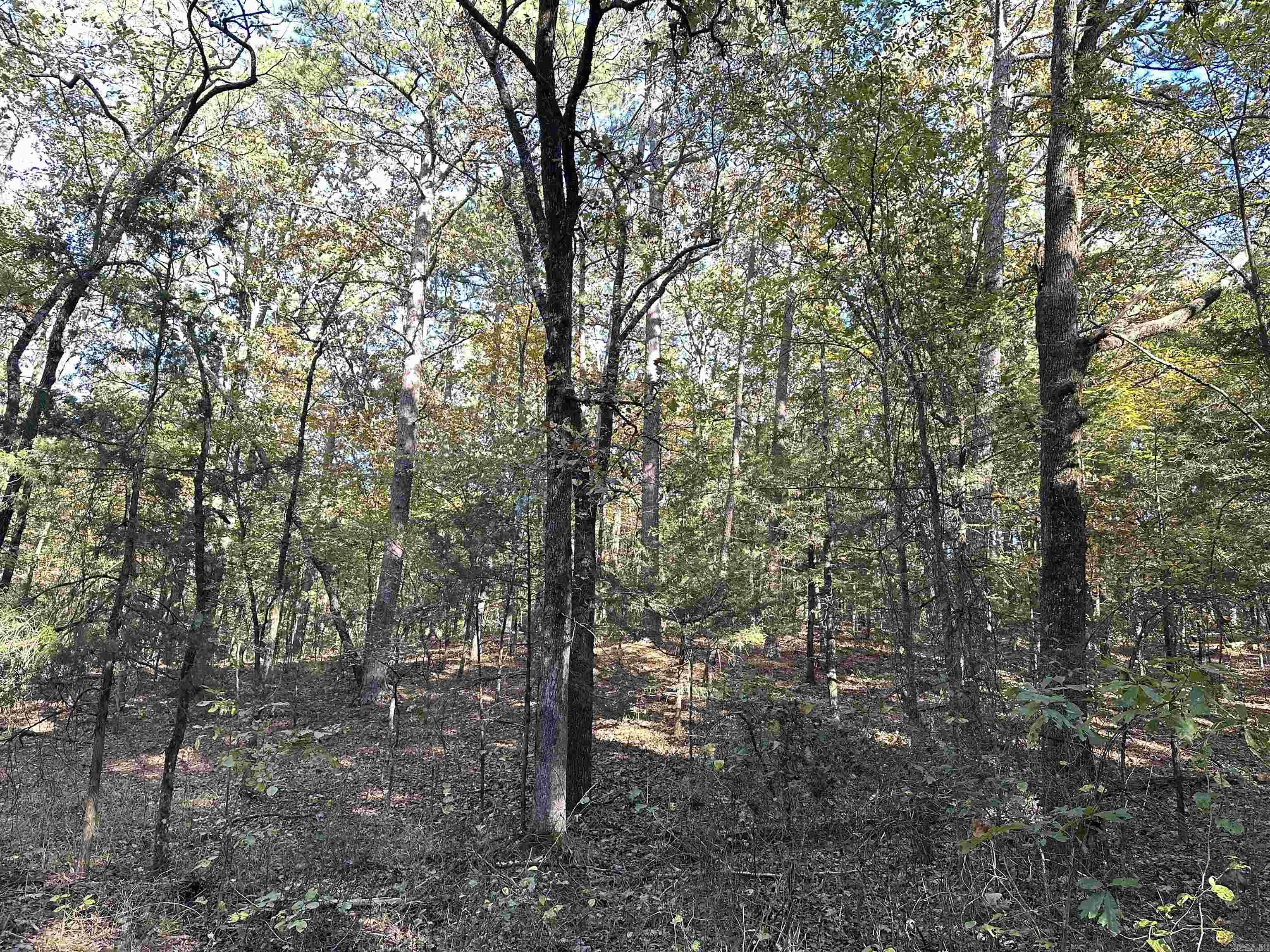 226 Cathedral Pines Ln  Mena, AR