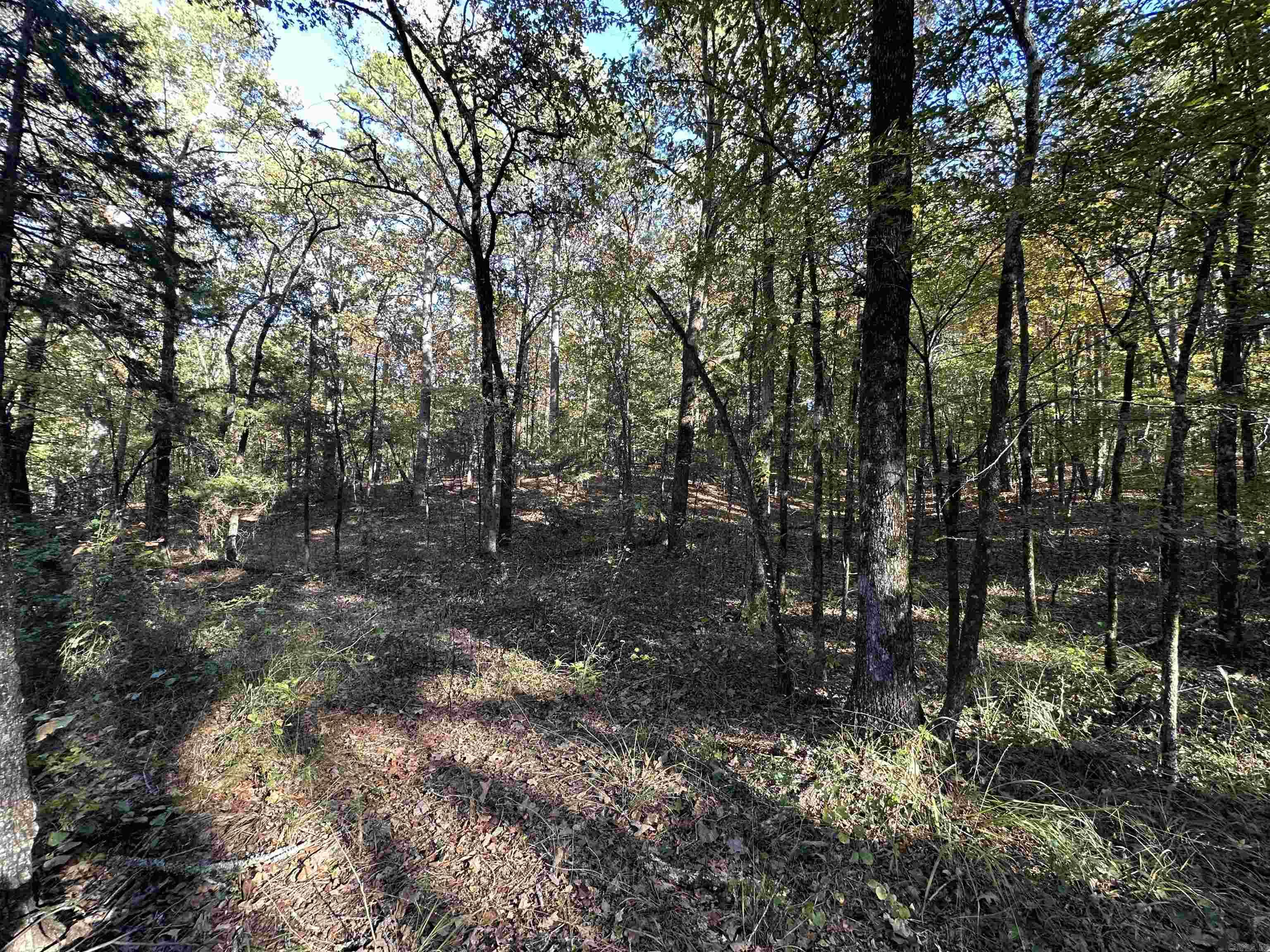 226 Cathedral Pines Ln  Mena, AR