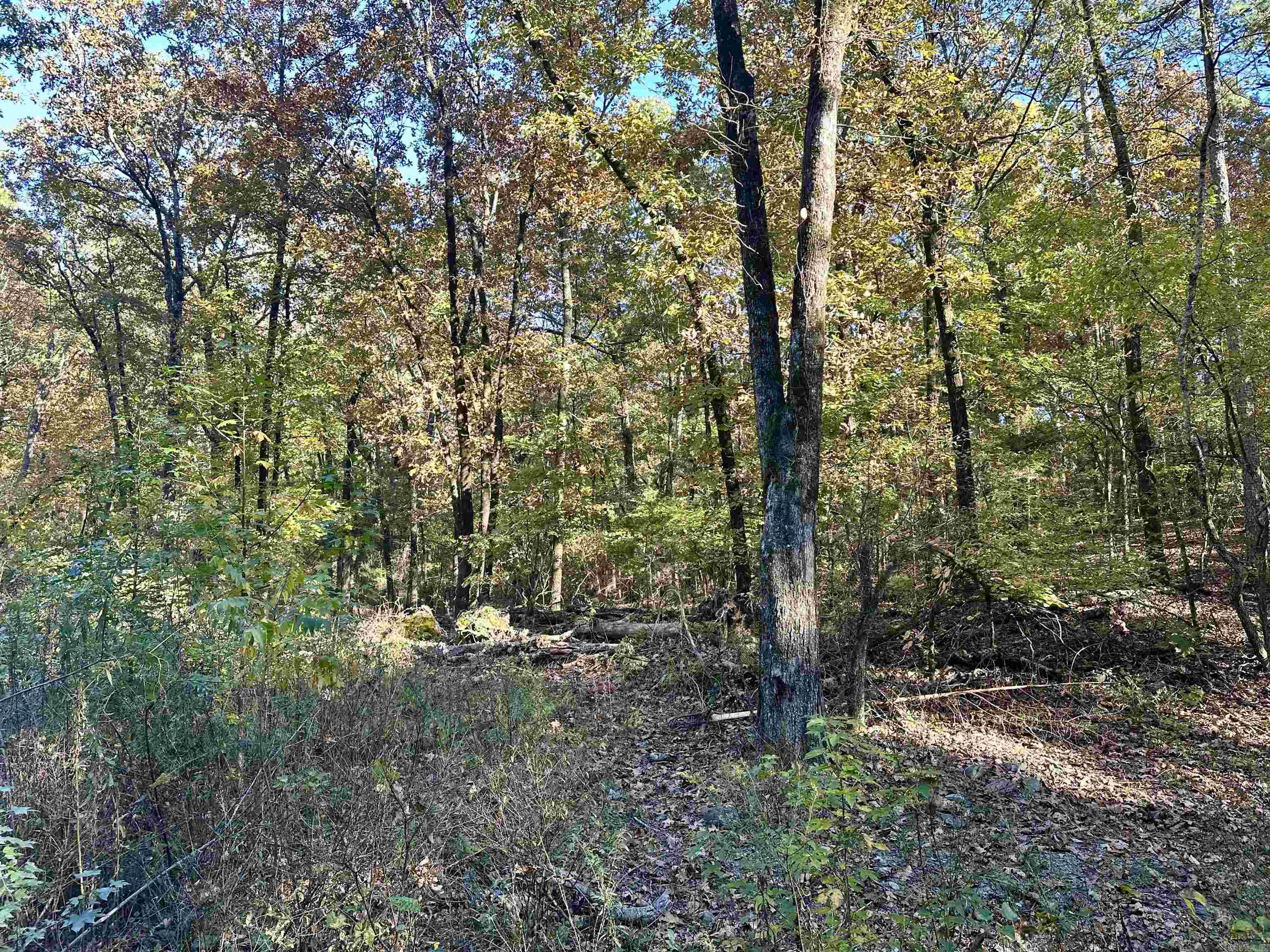 226 Cathedral Pines Ln  Mena, AR