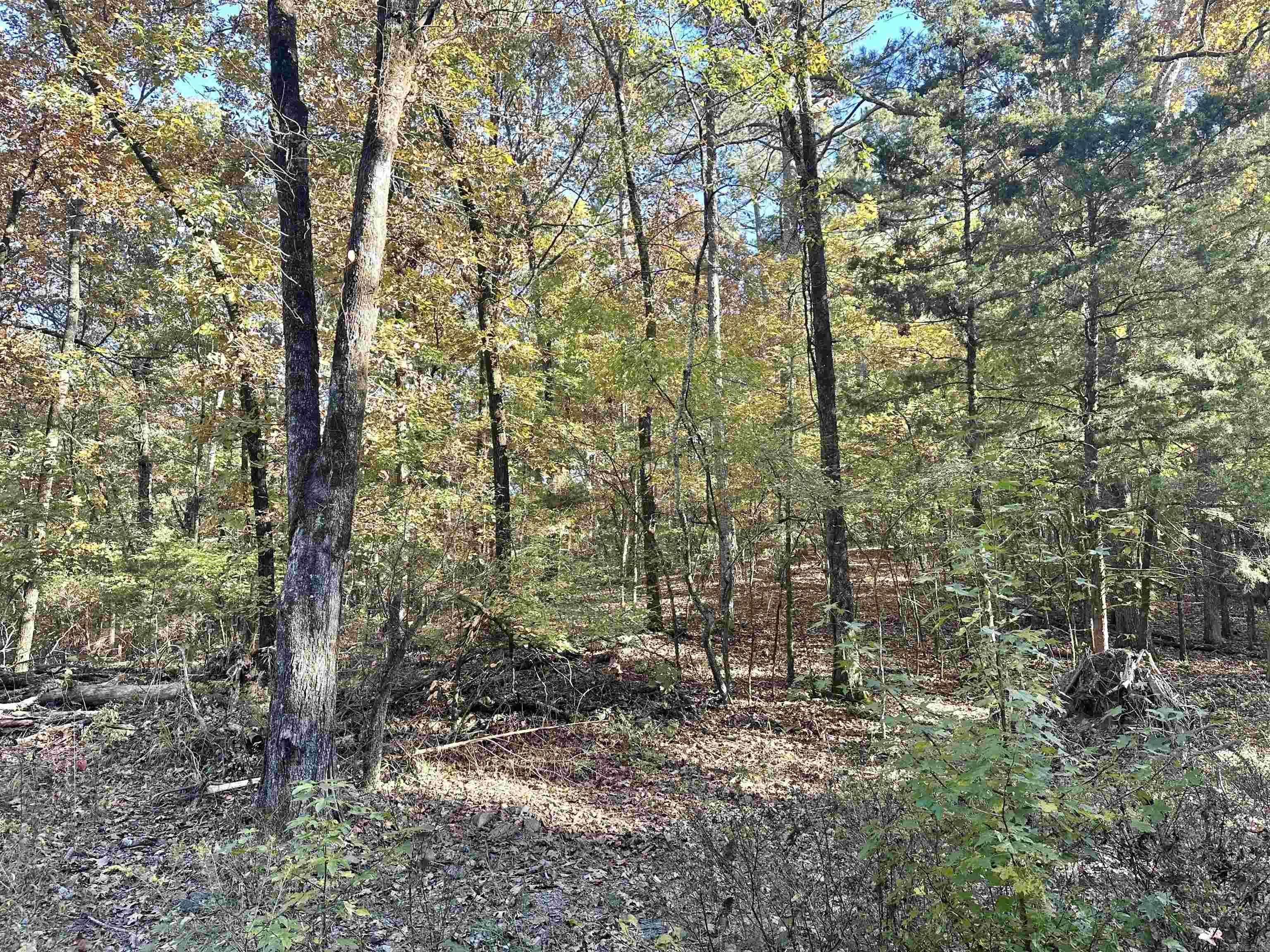 226 Cathedral Pines Ln  Mena, AR