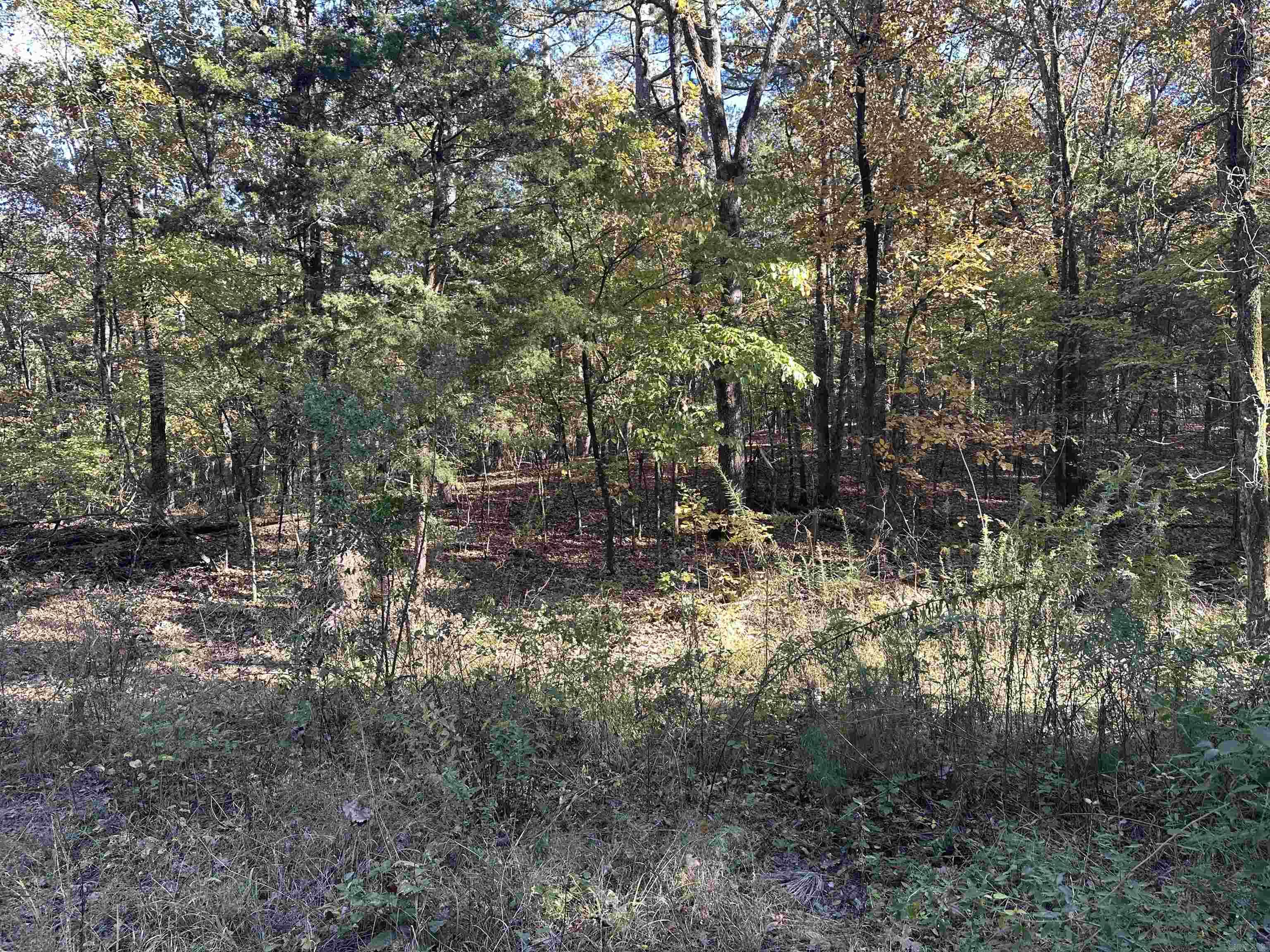 226 Cathedral Pines Ln  Mena, AR