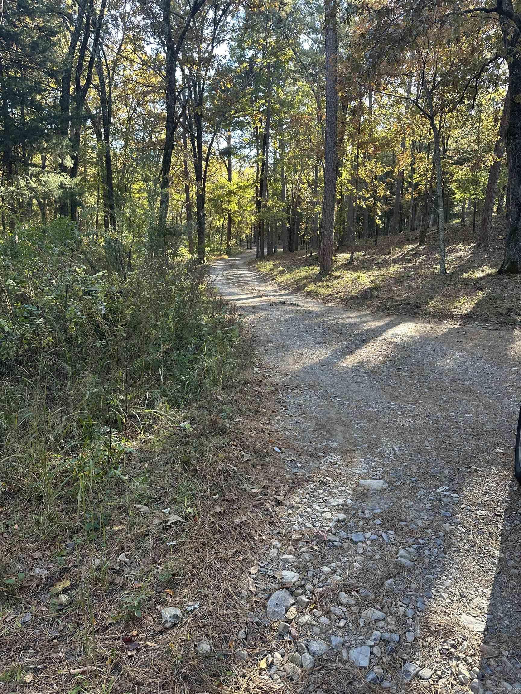 226 Cathedral Pines Ln  Mena, AR