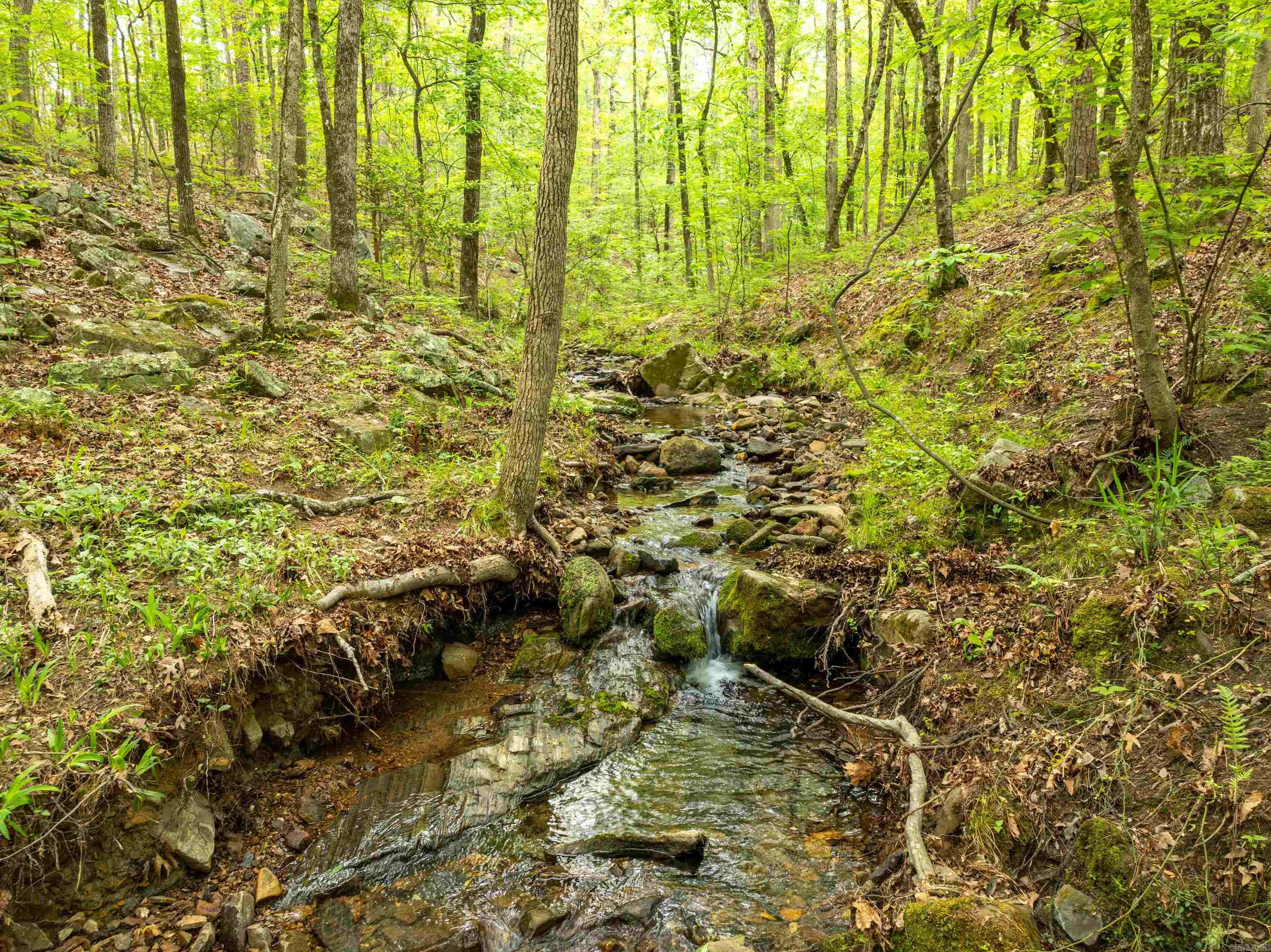 73 PERRALENA WAY Hot Springs Village, AR 71909