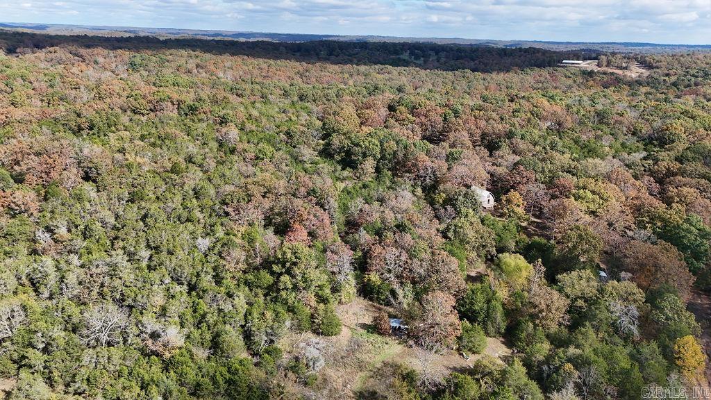 40 Acres Squirrel Road