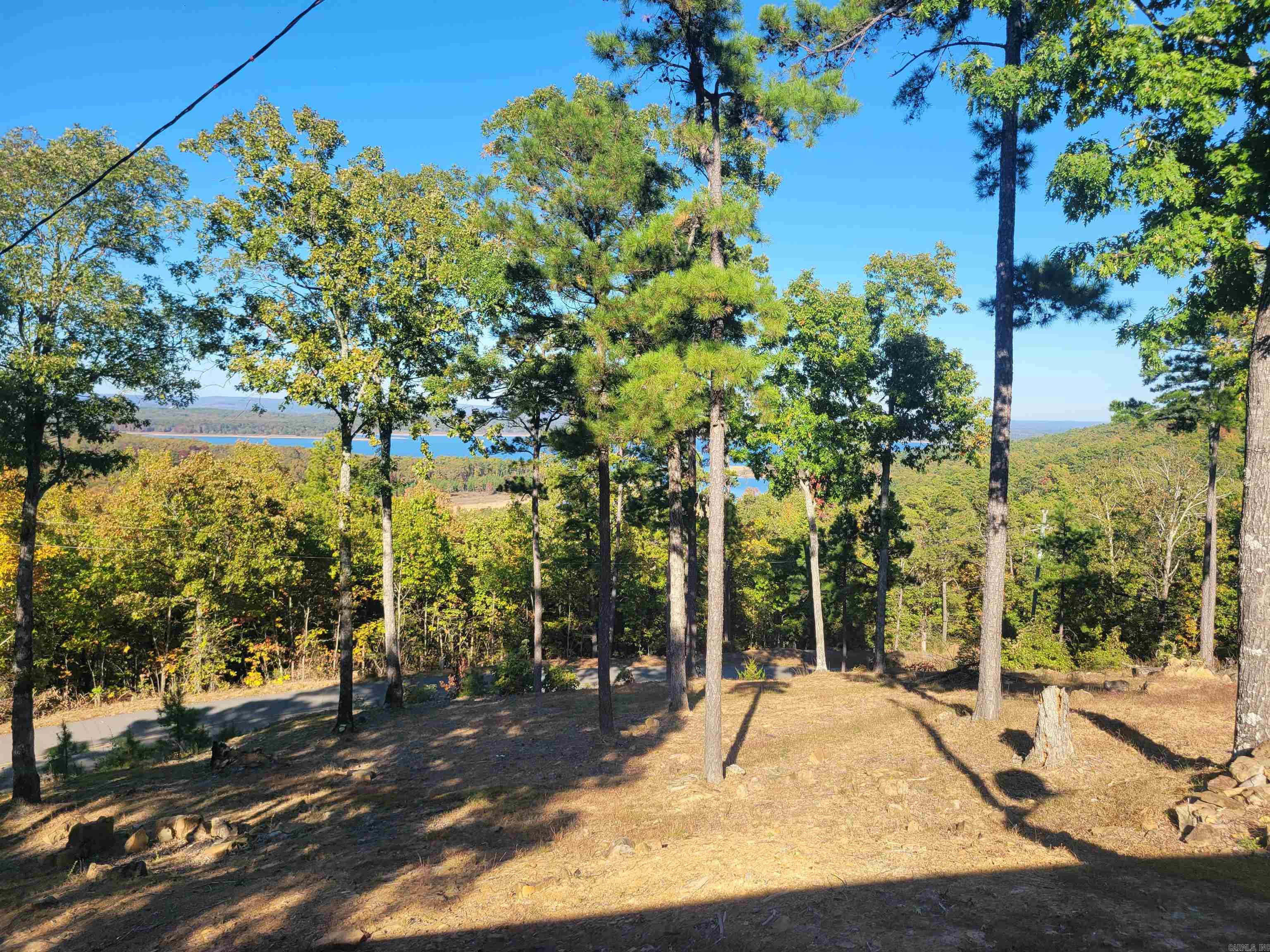 290 Christopher  Quitman, AR