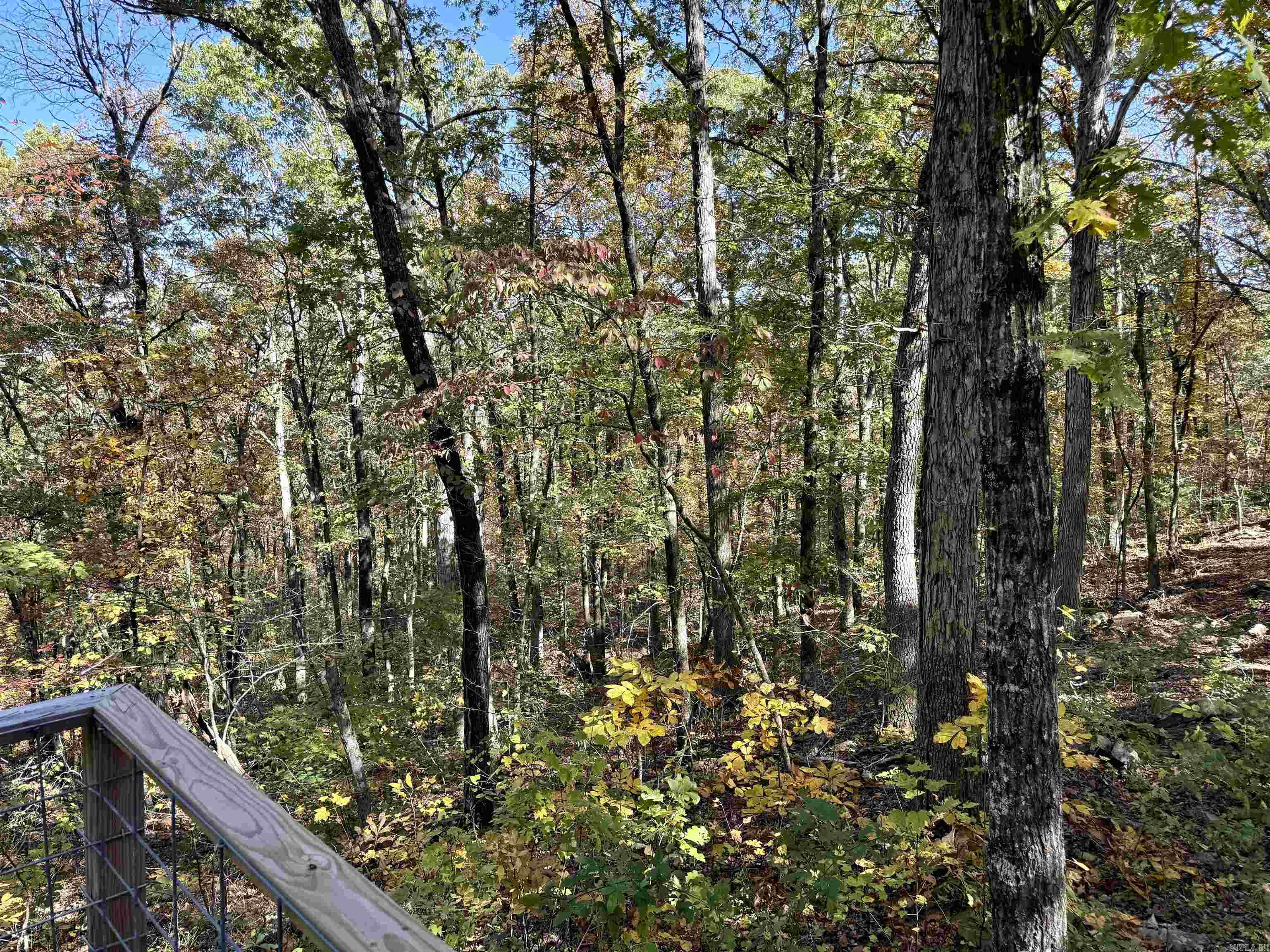 480 Hickory Hill  Drasco, AR