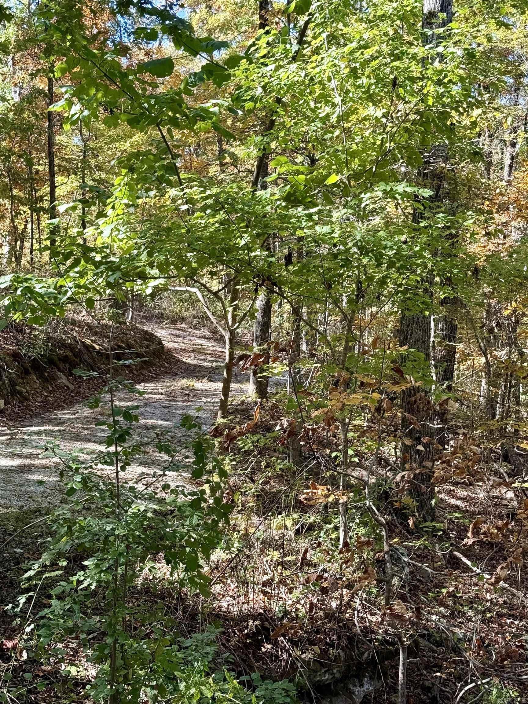 480 Hickory Hill  Drasco, AR