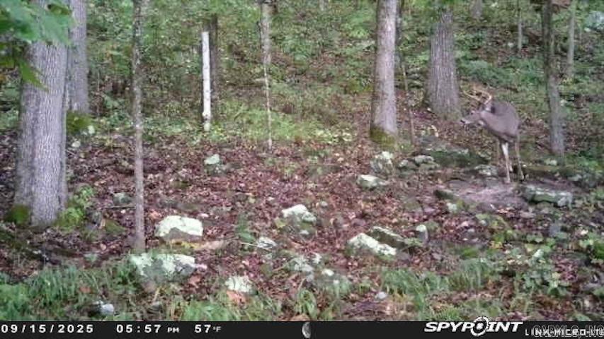 480 Hickory Hill  Drasco, AR