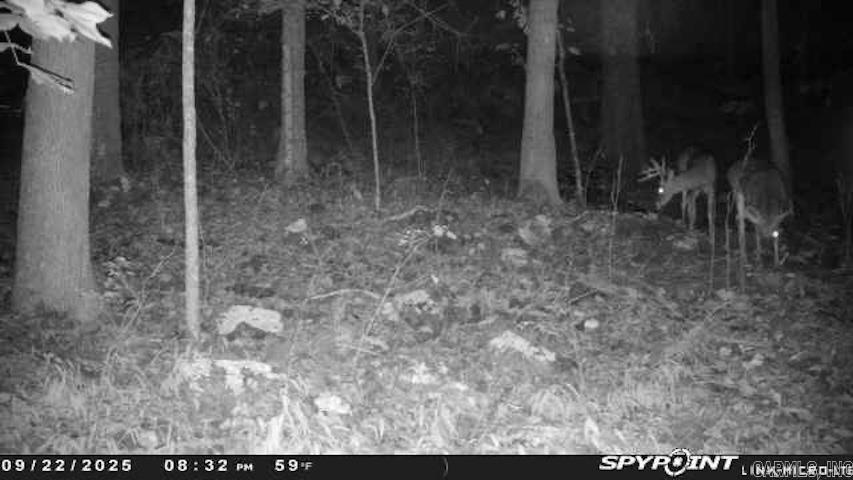 480 Hickory Hill  Drasco, AR