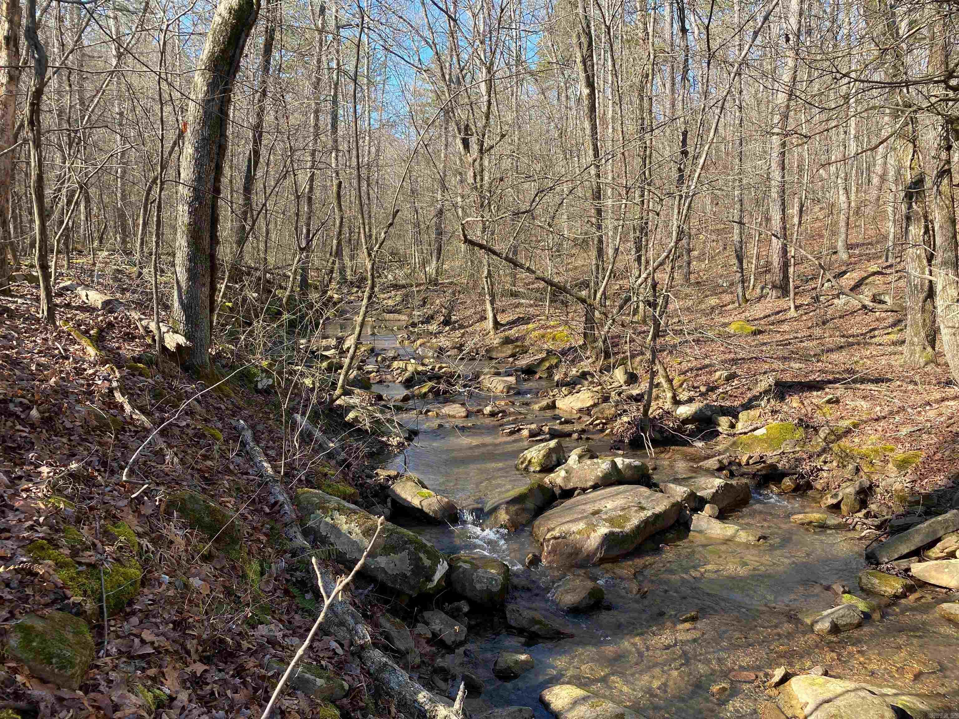 480 Hickory Hill  Drasco, AR