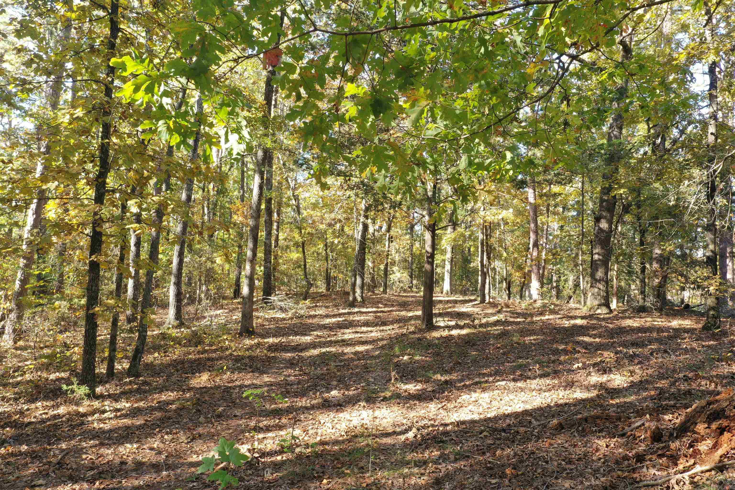 450 Crockett  Greers Ferry, AR