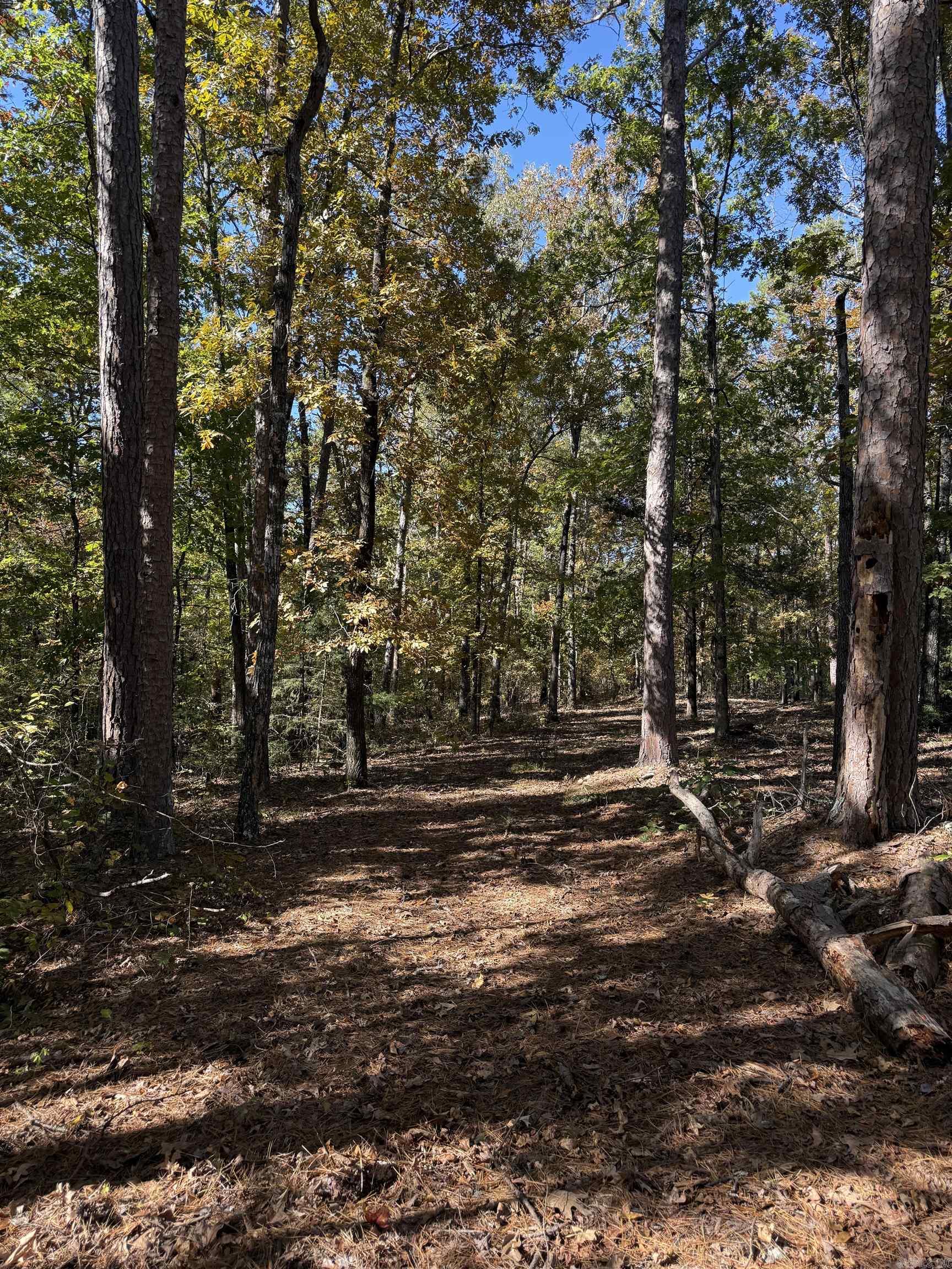 450 Crockett  Greers Ferry, AR