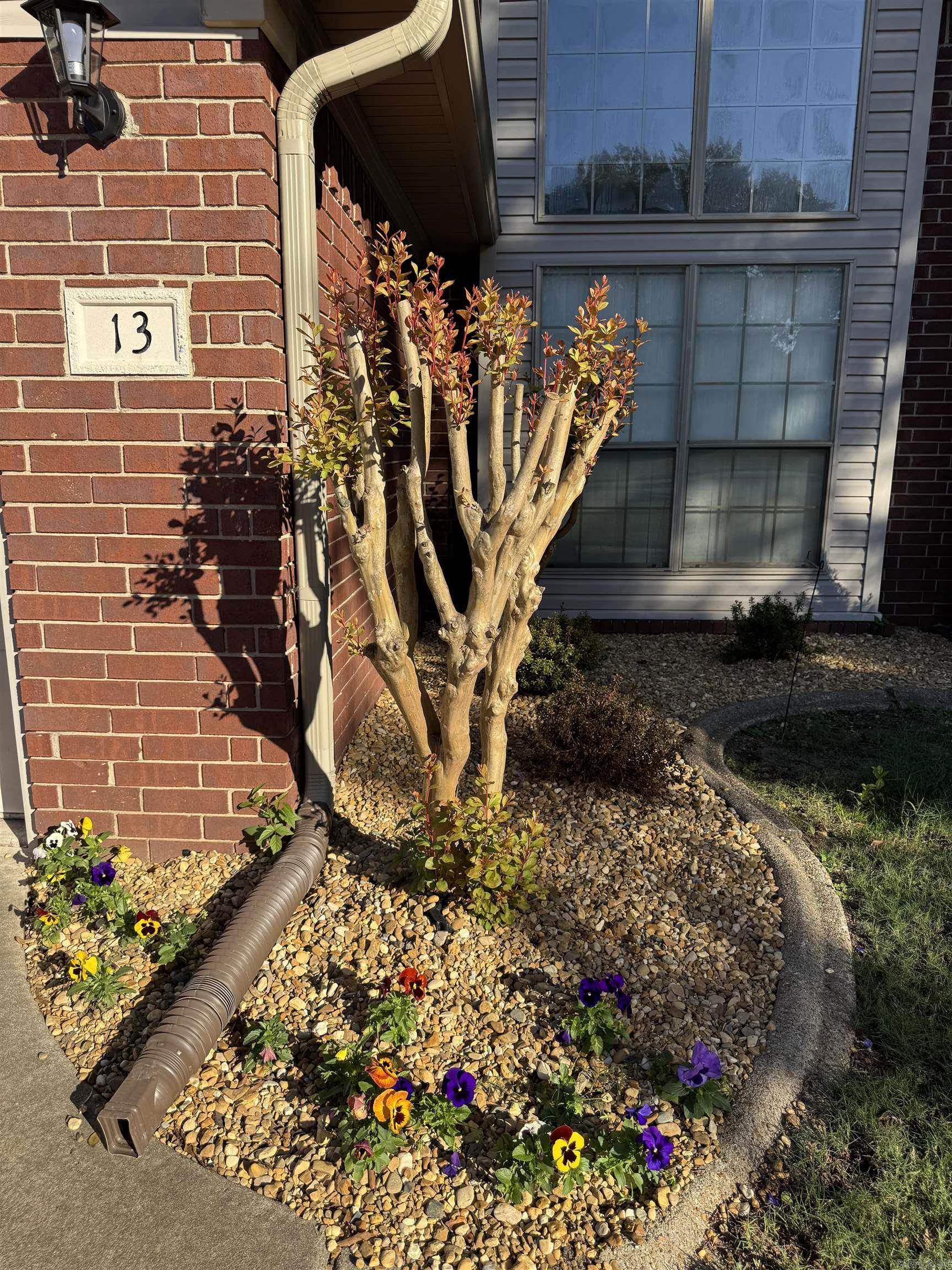 13 Statesboro  Cabot, AR