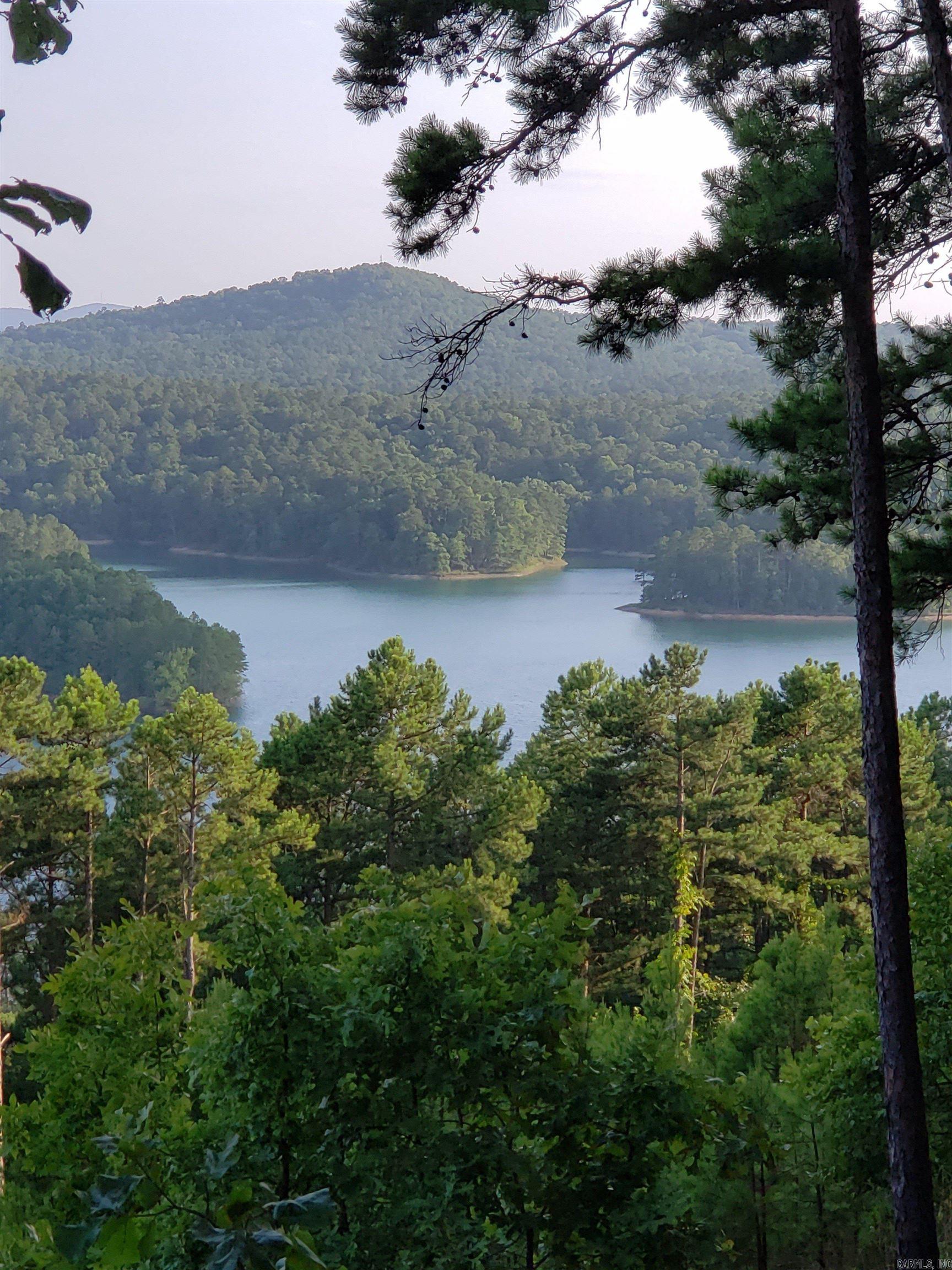 12 Huesca Lane Hot Springs Village, AR 71909