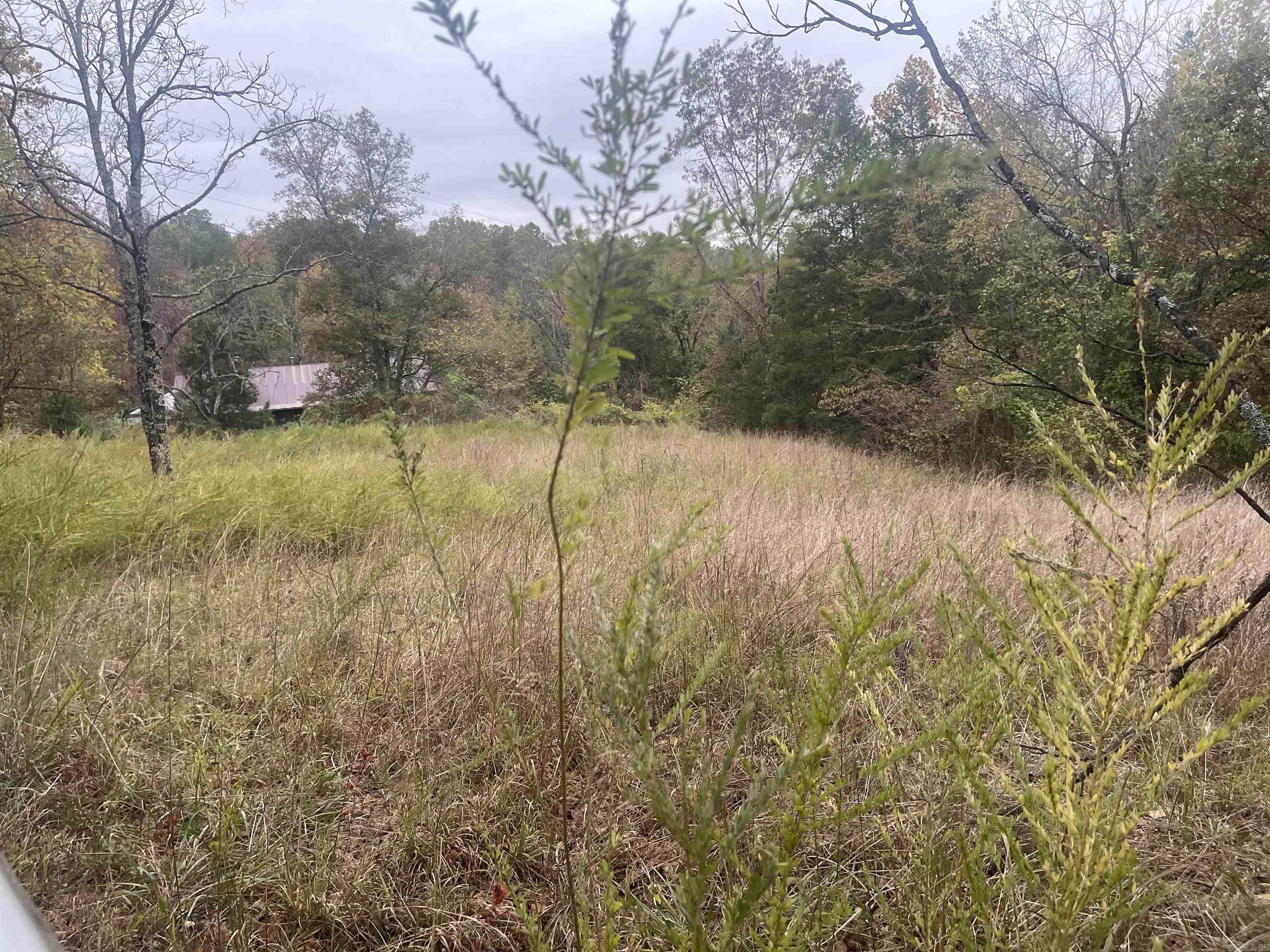 618 Driftwood Drive  Pineville, AR