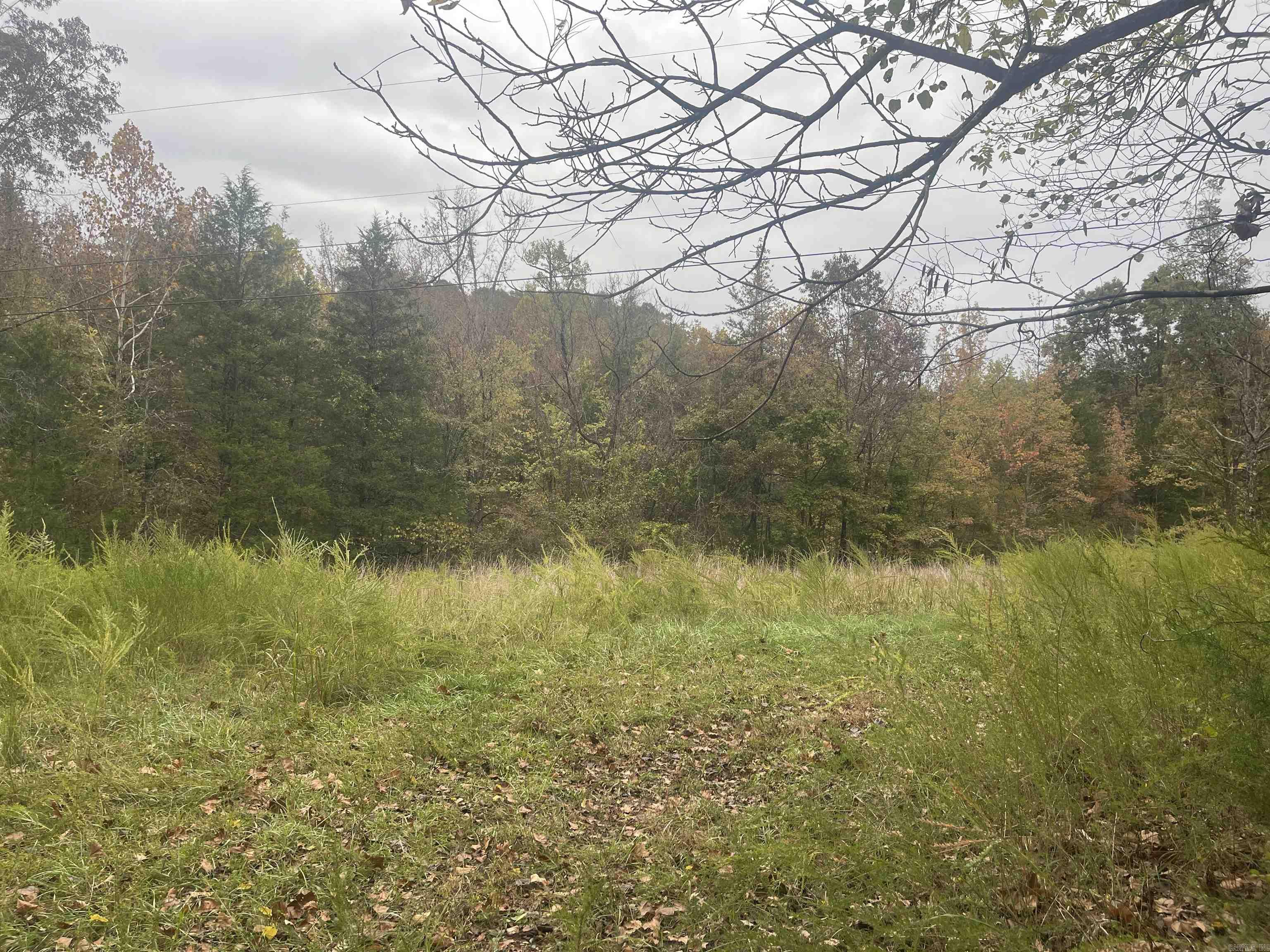 618 Driftwood Drive  Pineville, AR