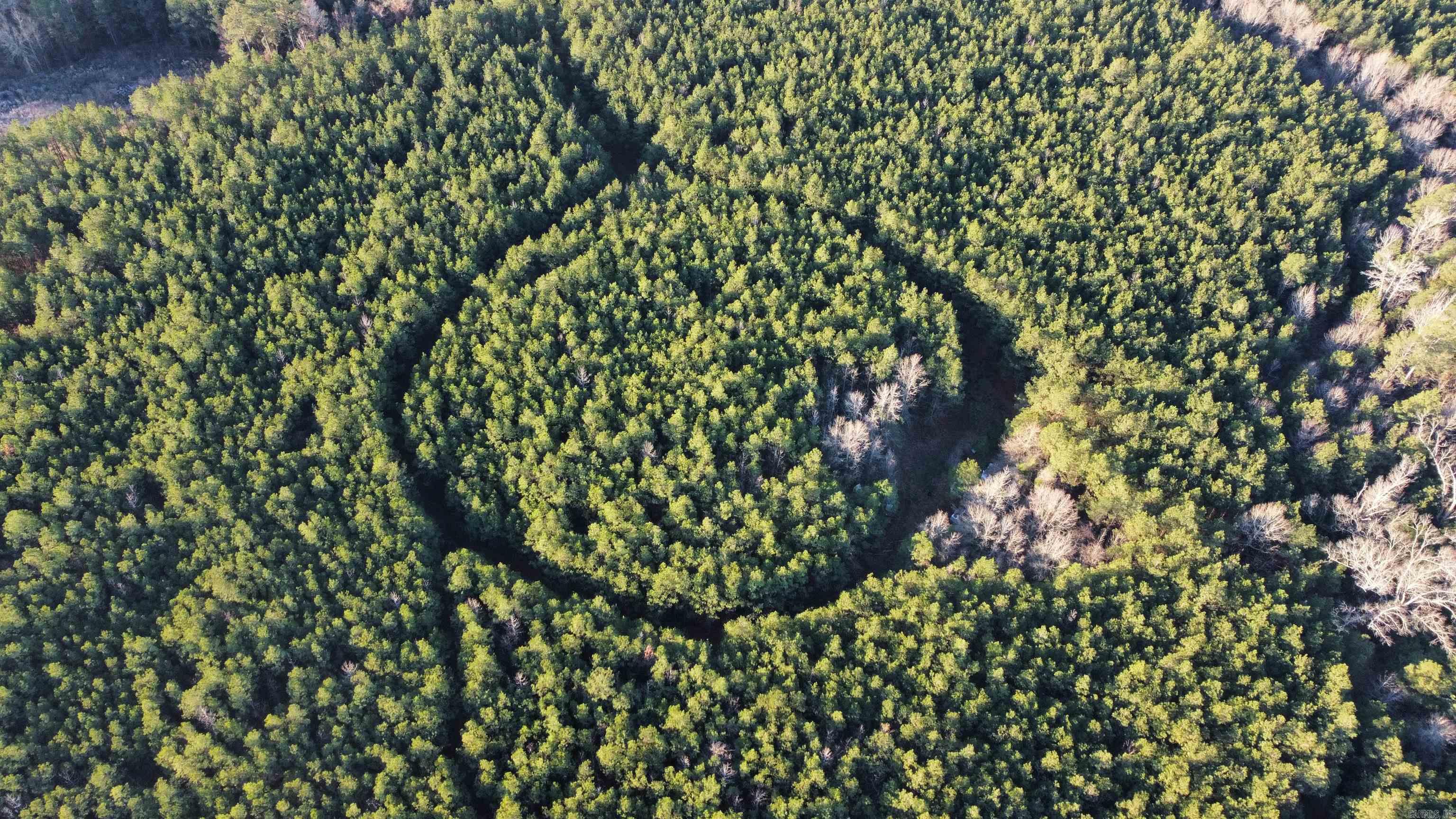 Bradley 45  Hermitage, AR