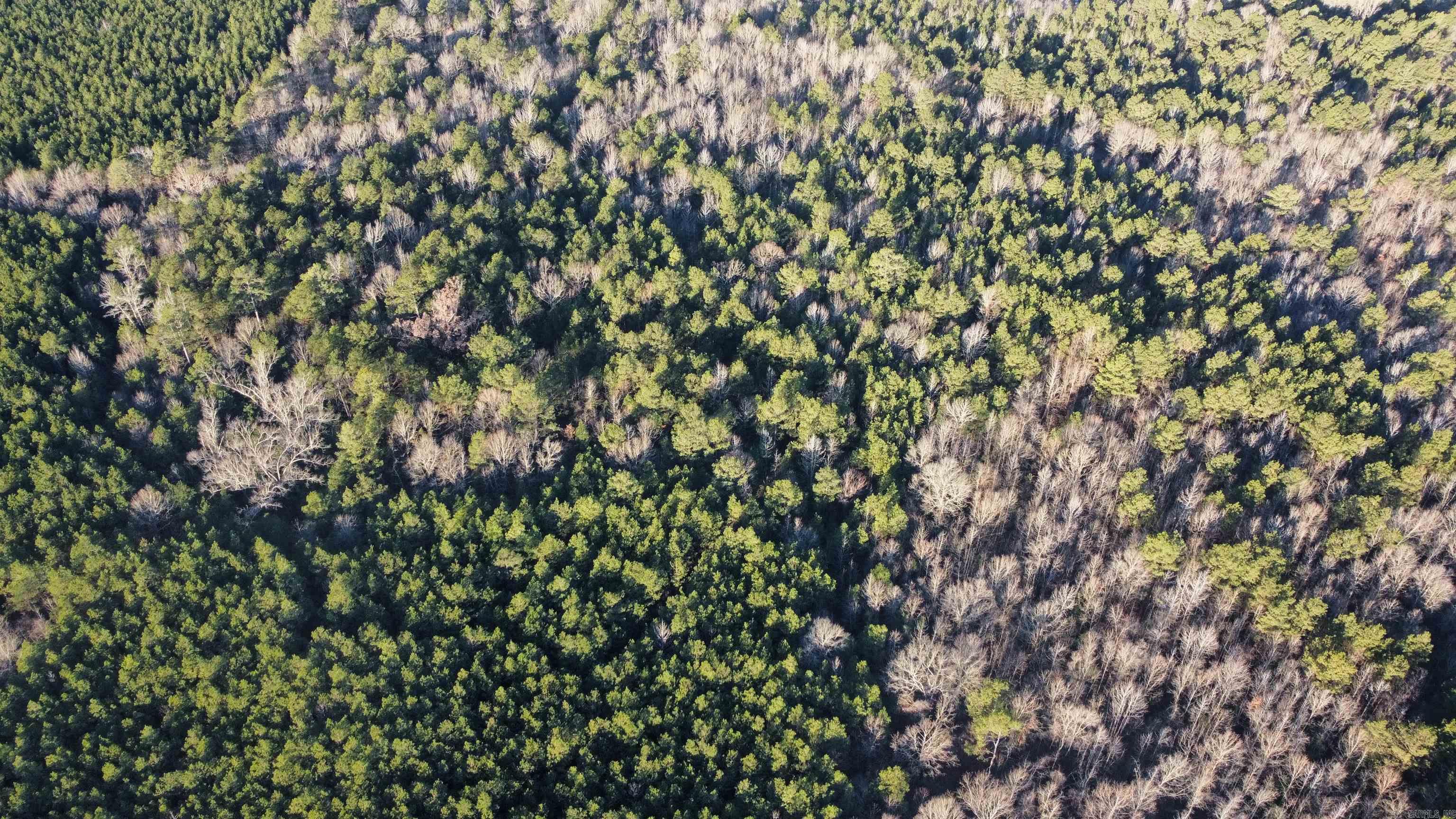 Bradley 45  Hermitage, AR