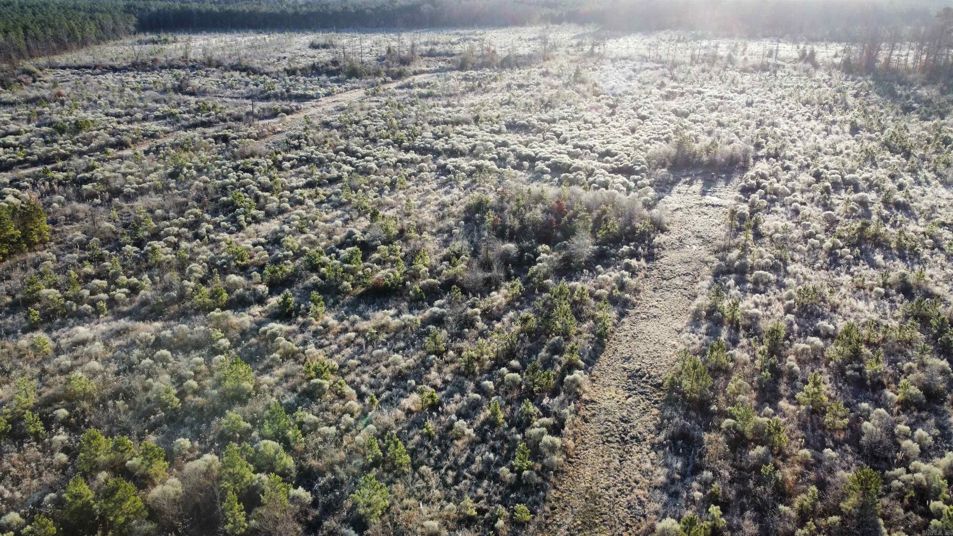 Bradley 45  Hermitage, AR