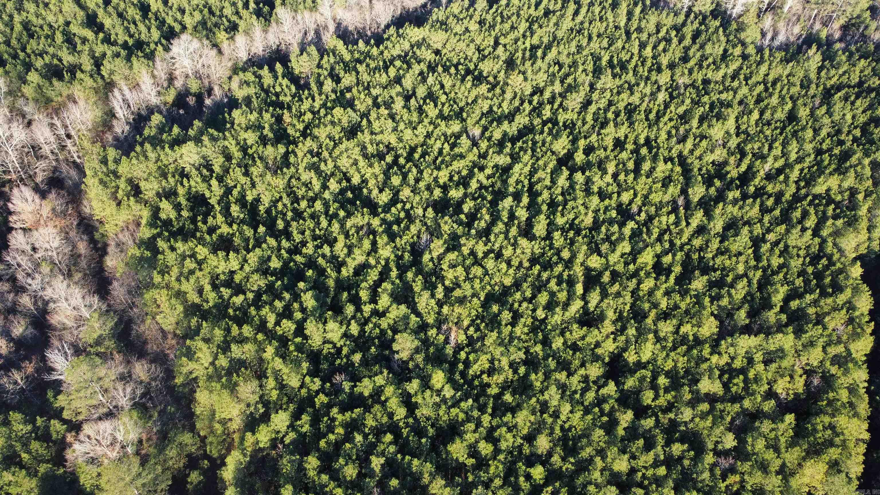 Bradley 45  Hermitage, AR