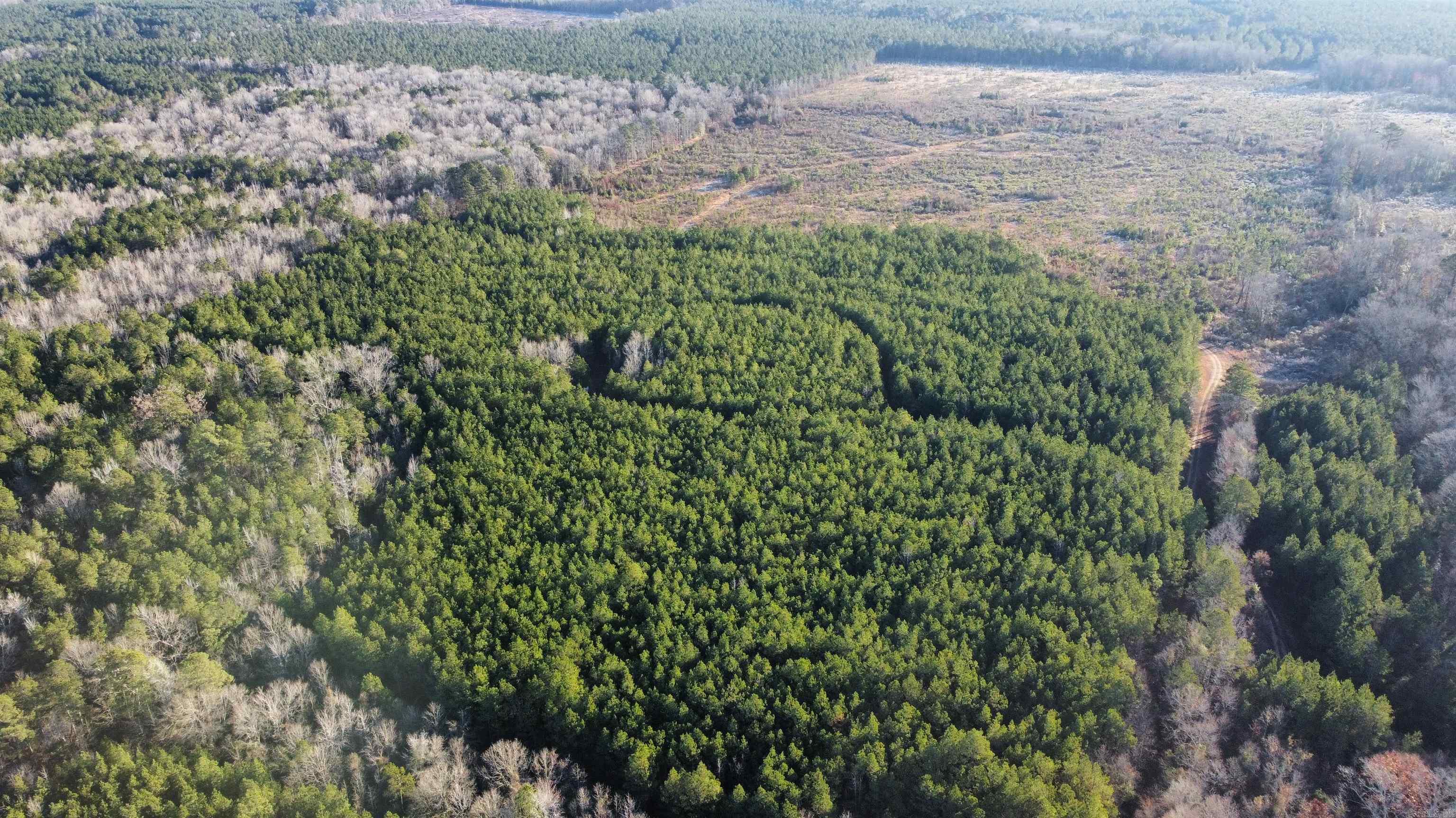 Bradley 45  Hermitage, AR