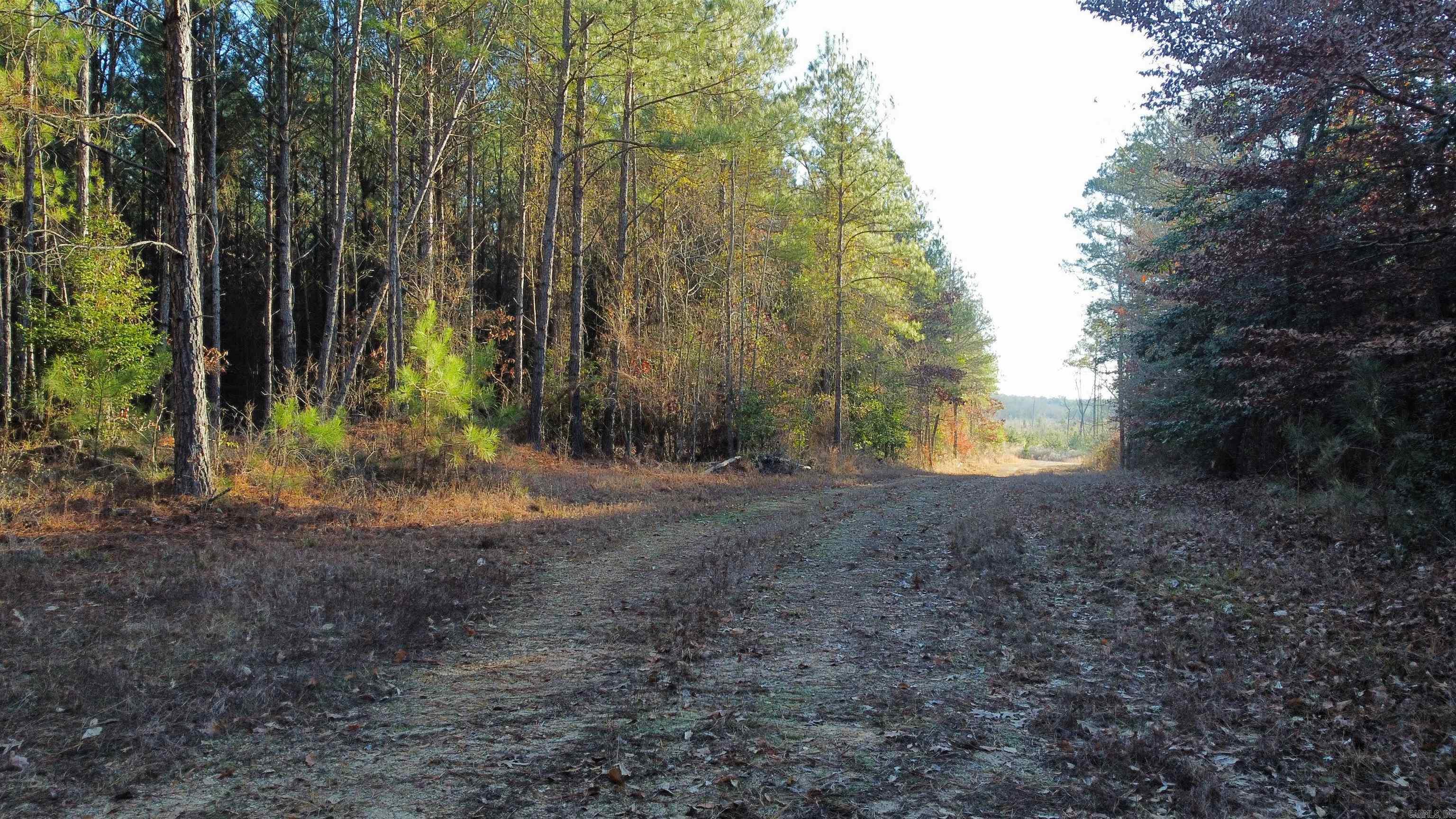 Bradley 45  Hermitage, AR