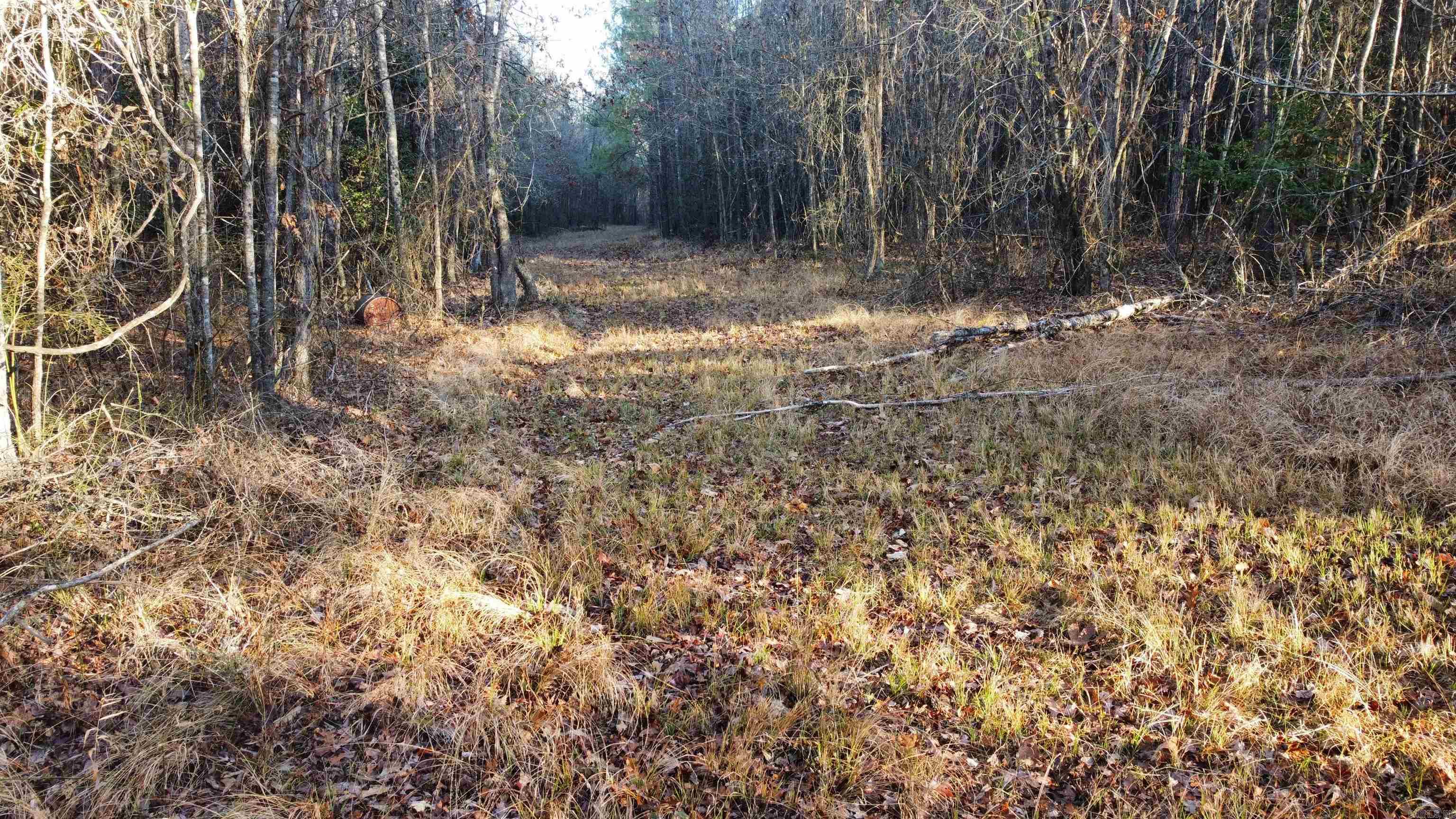 Bradley 45  Hermitage, AR