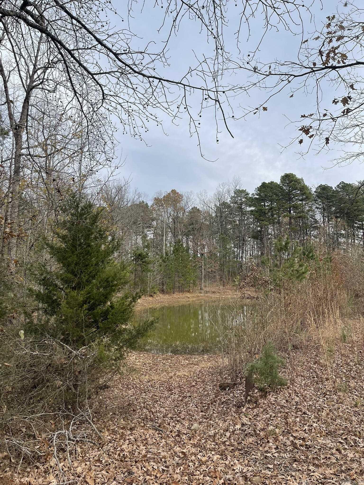 113 Boehler Lane  Mena, AR