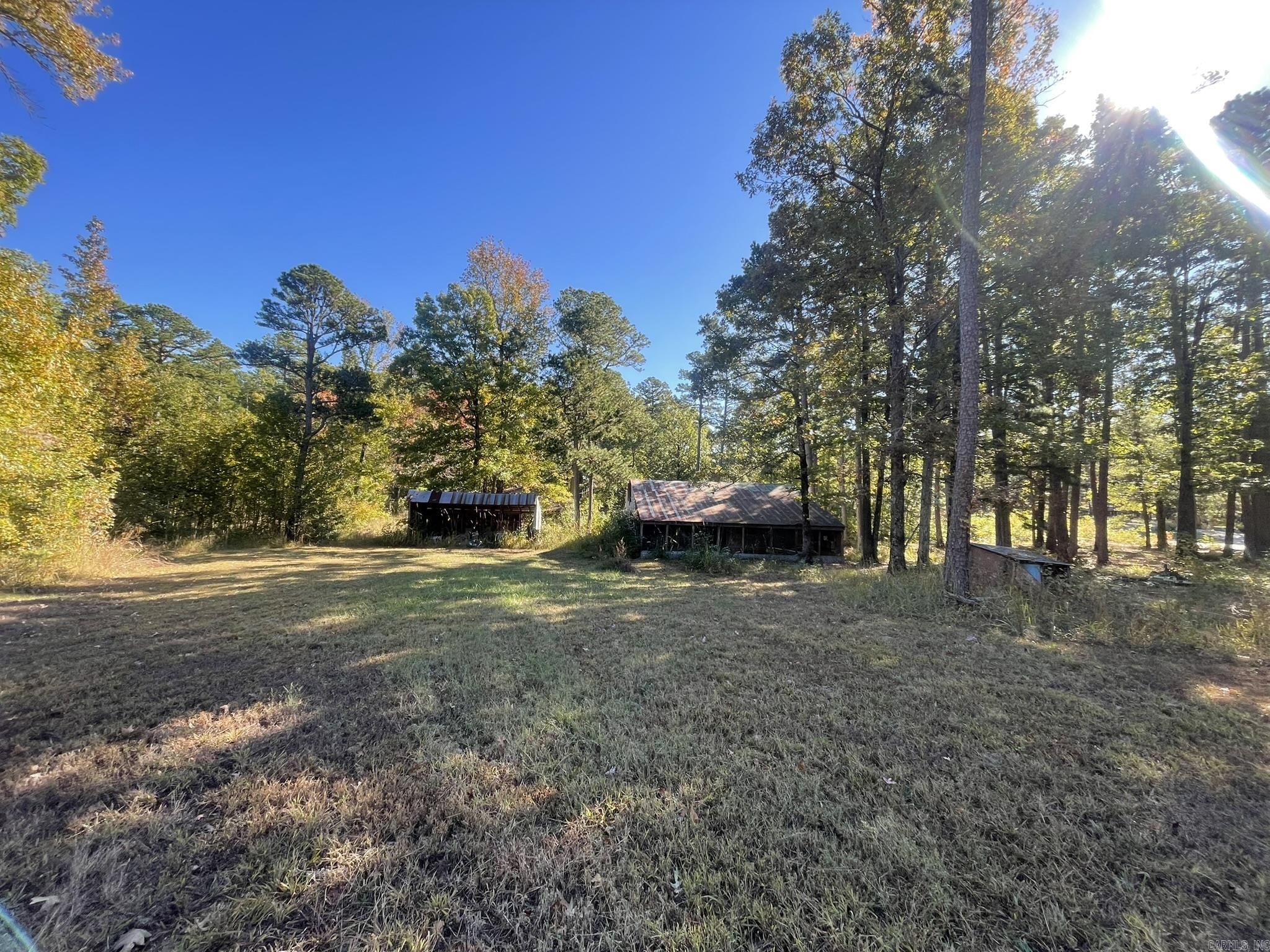113 Boehler Lane  Mena, AR