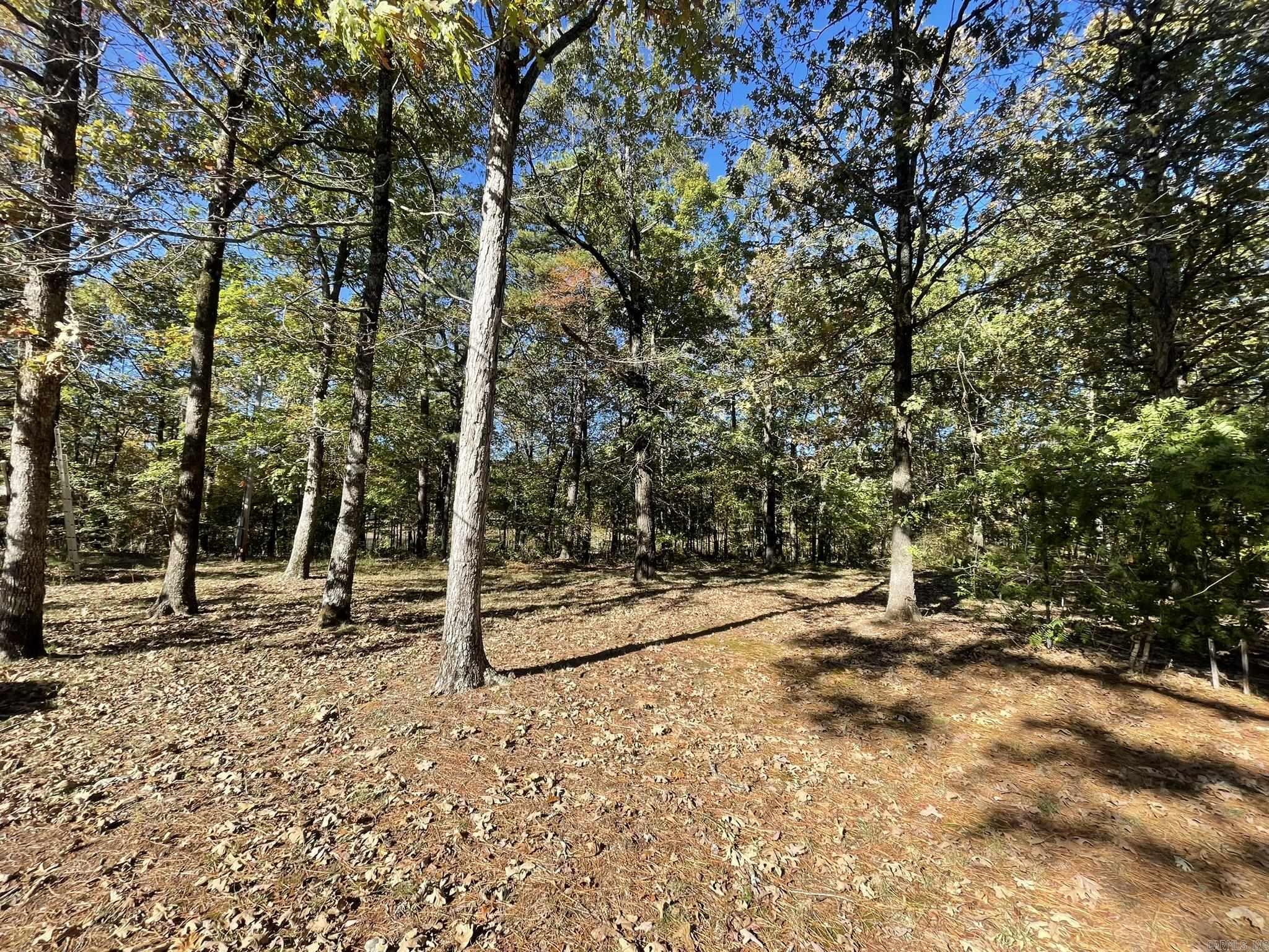 113 Boehler Lane  Mena, AR