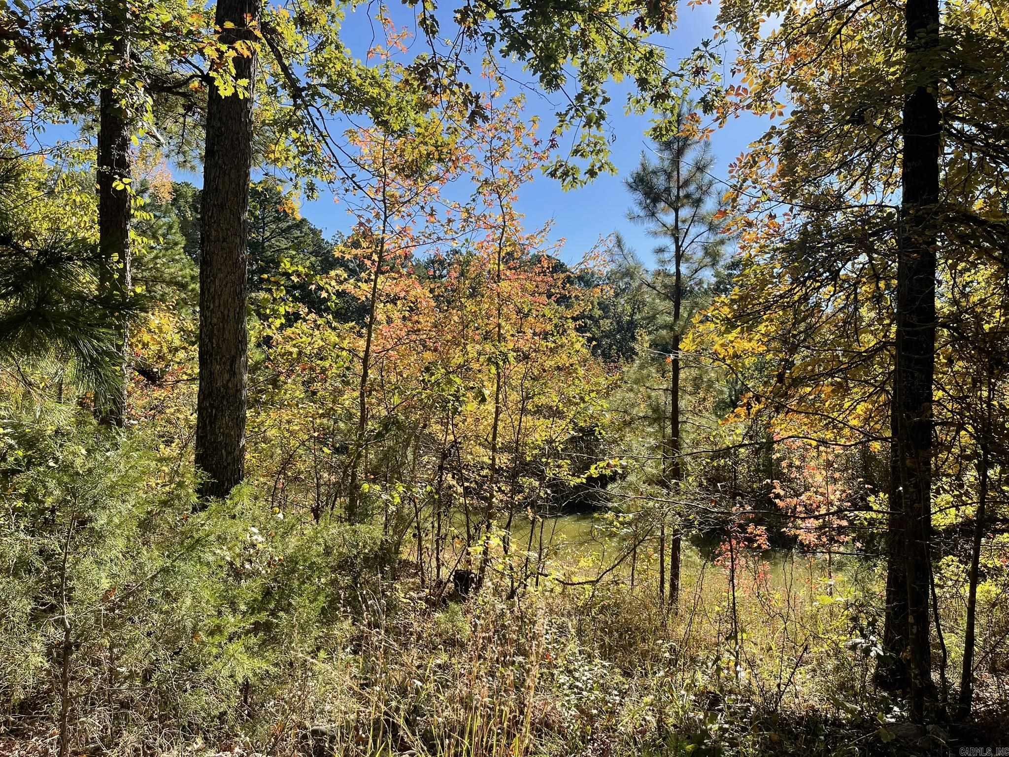 113 Boehler Lane  Mena, AR