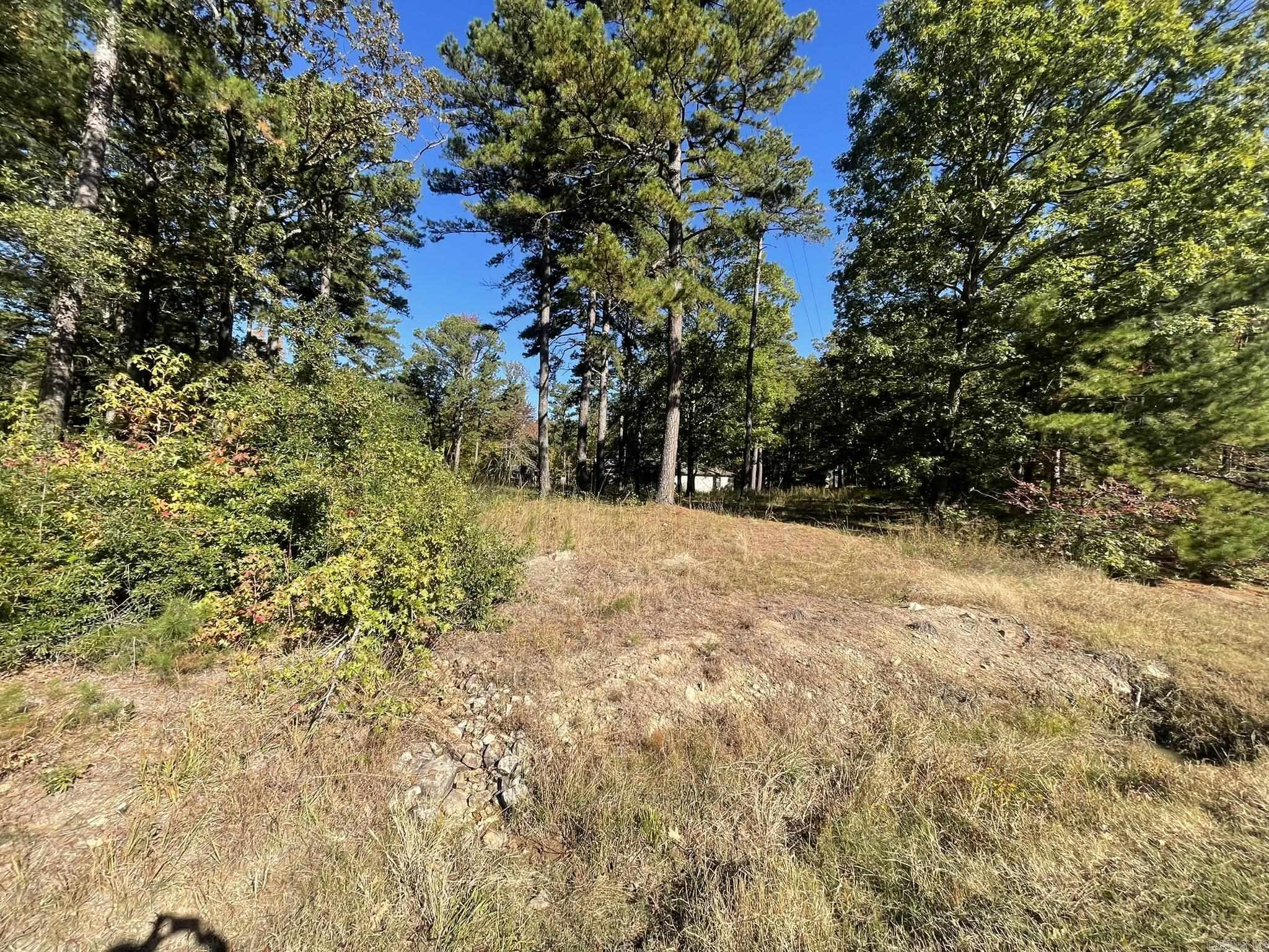 113 Boehler Lane  Mena, AR