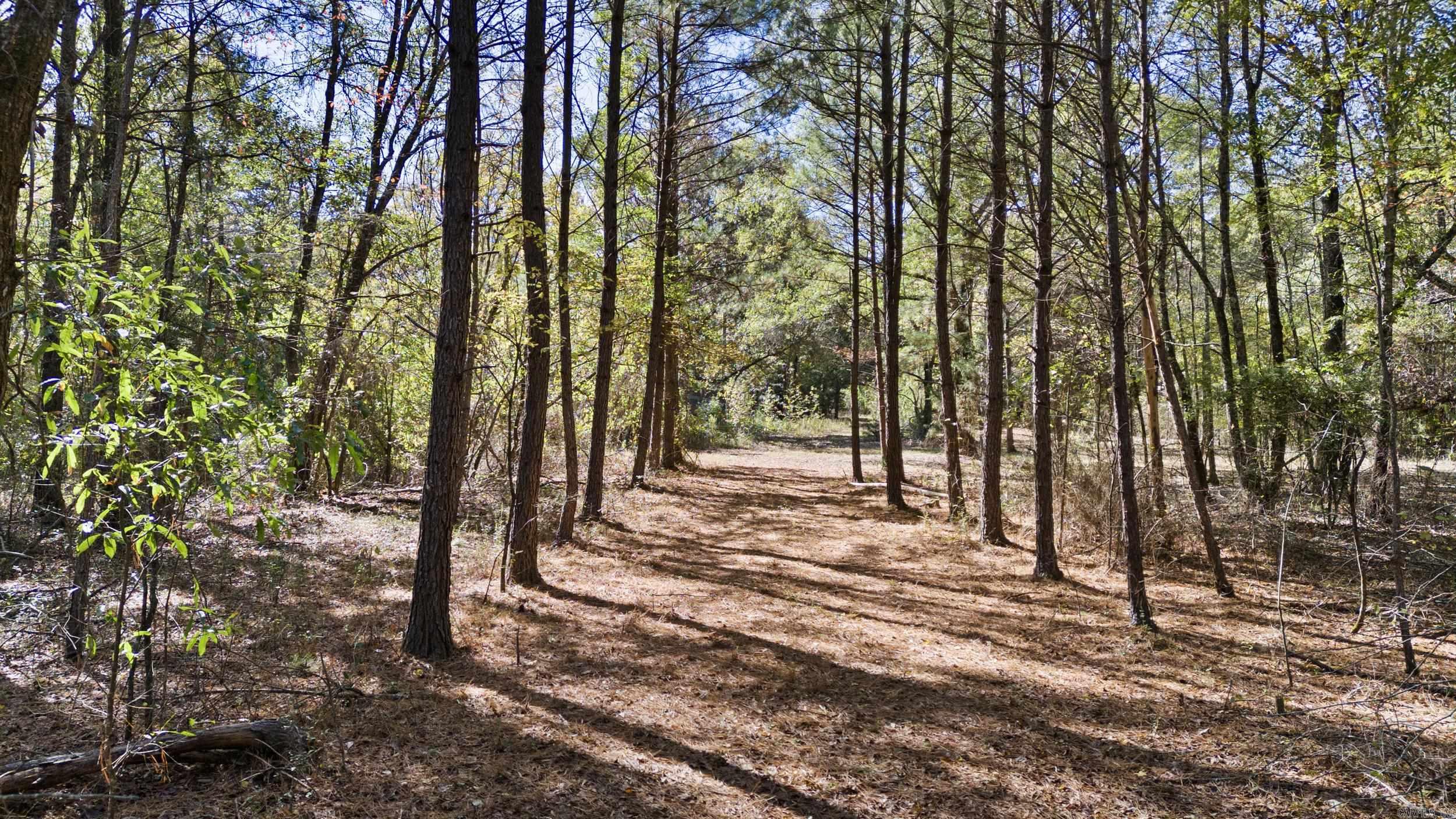 307 307  Bluffton, AR