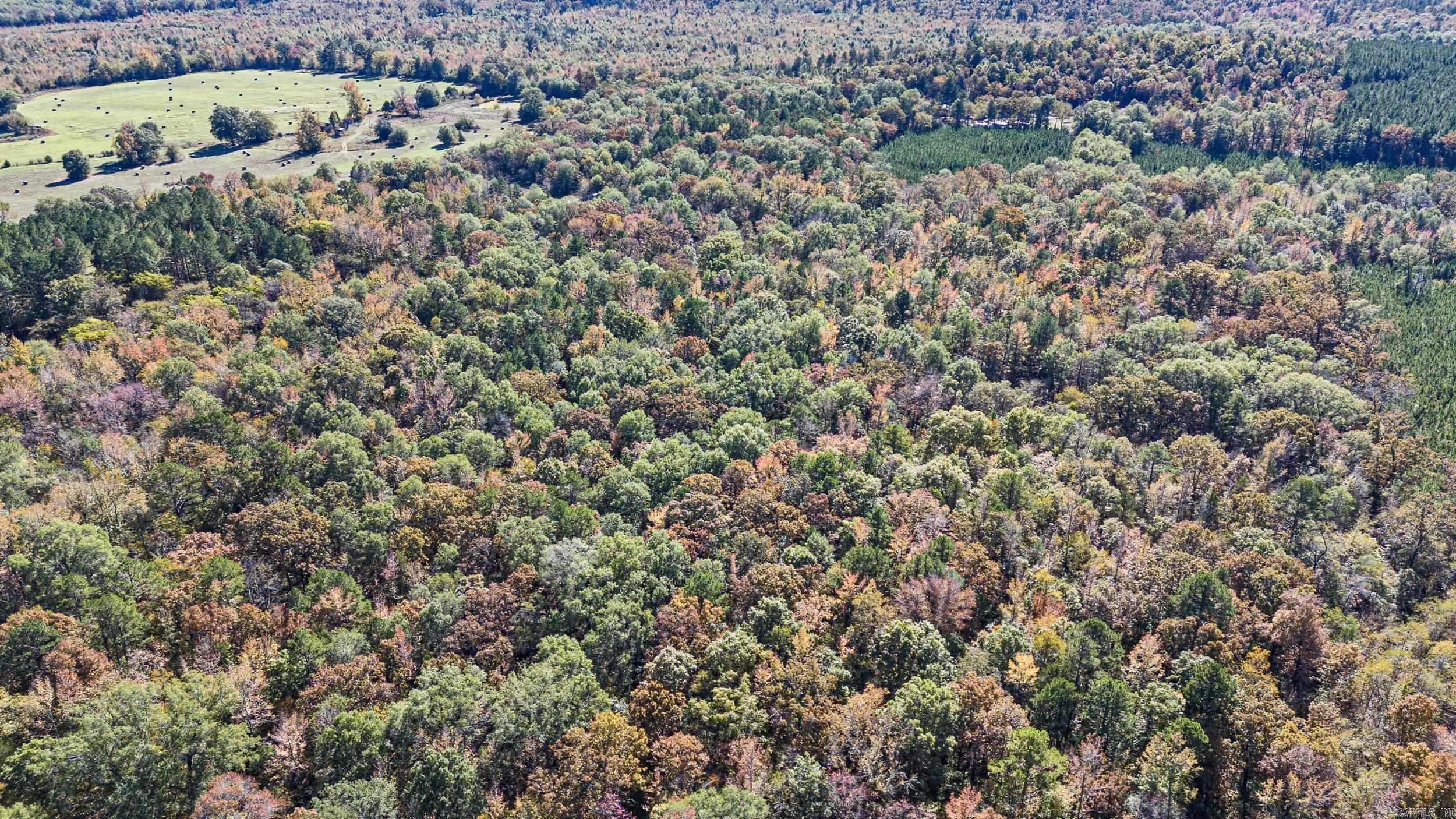 307 307  Bluffton, AR