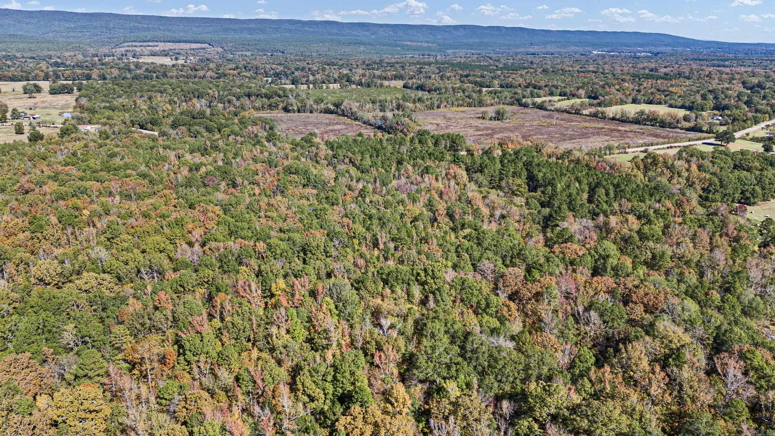 307 307  Bluffton, AR