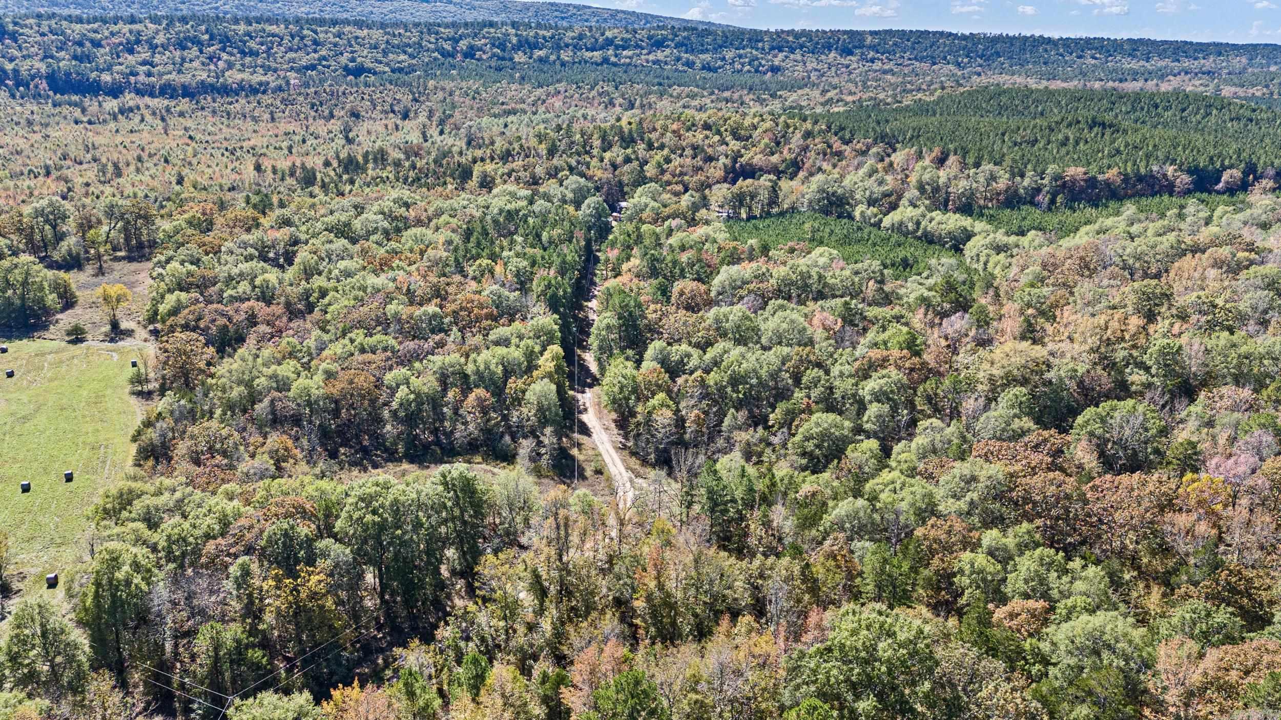 307 307  Bluffton, AR