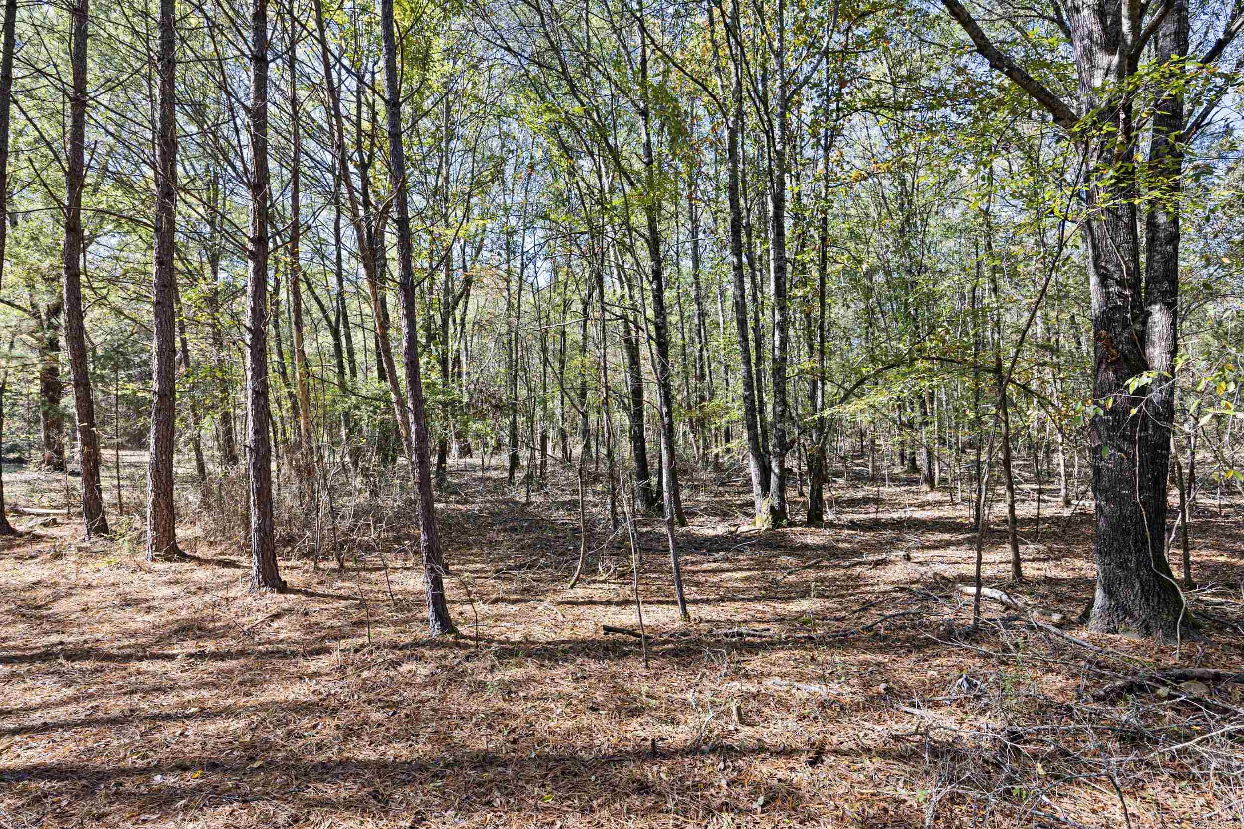 307 307  Bluffton, AR