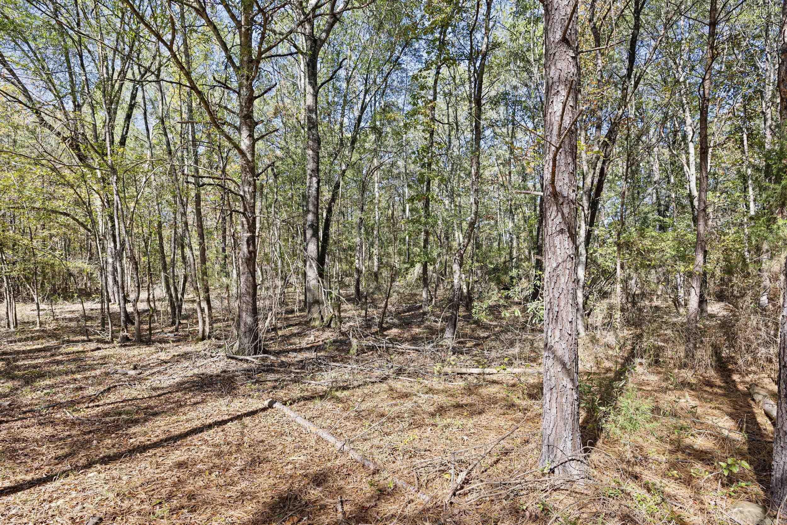 307 307  Bluffton, AR