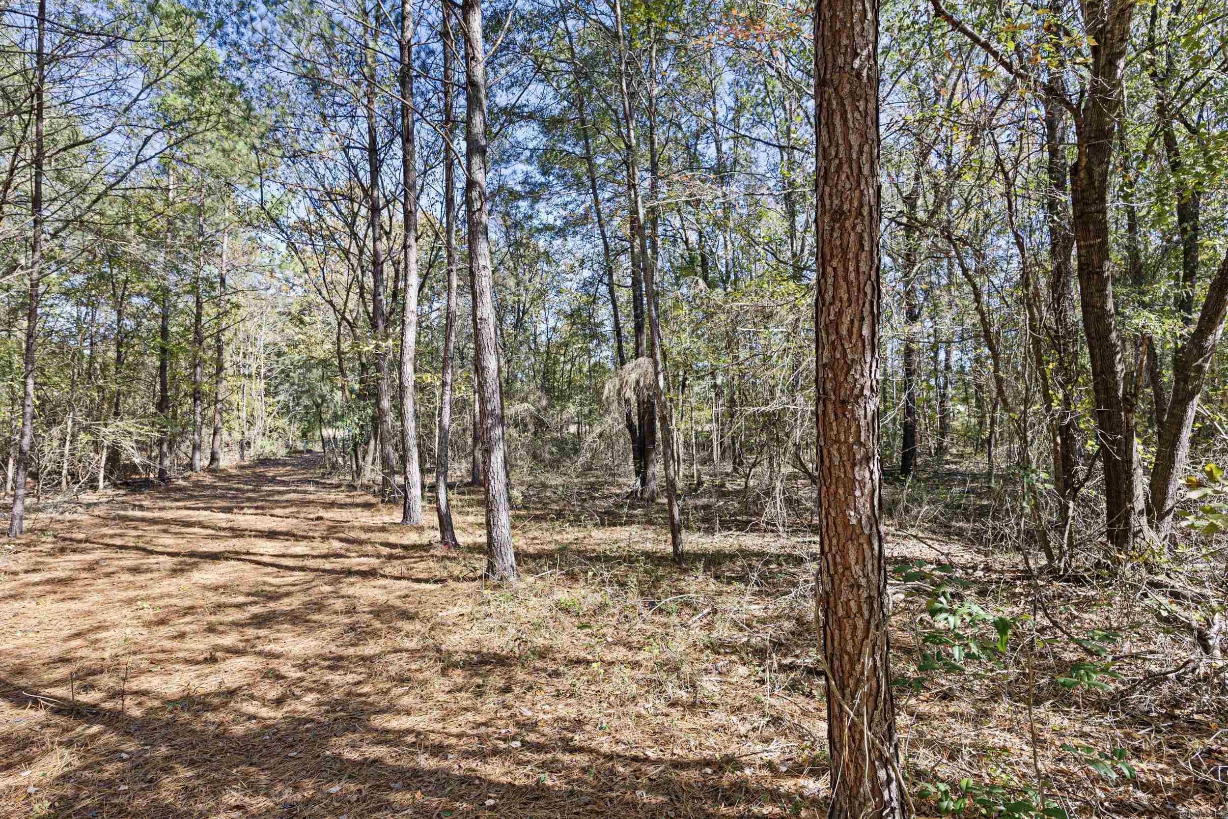 307 307  Bluffton, AR