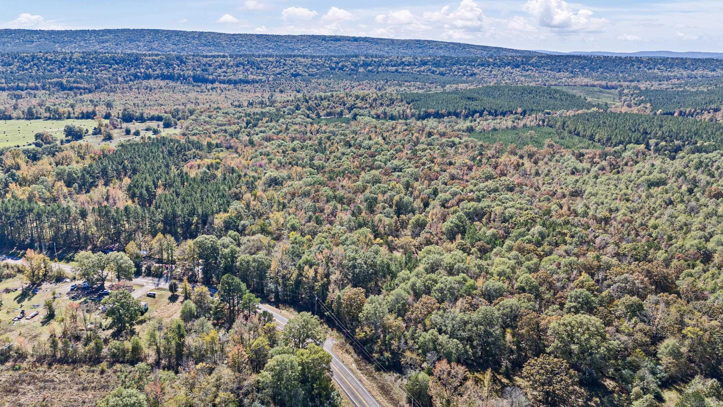 307 307  Bluffton, AR