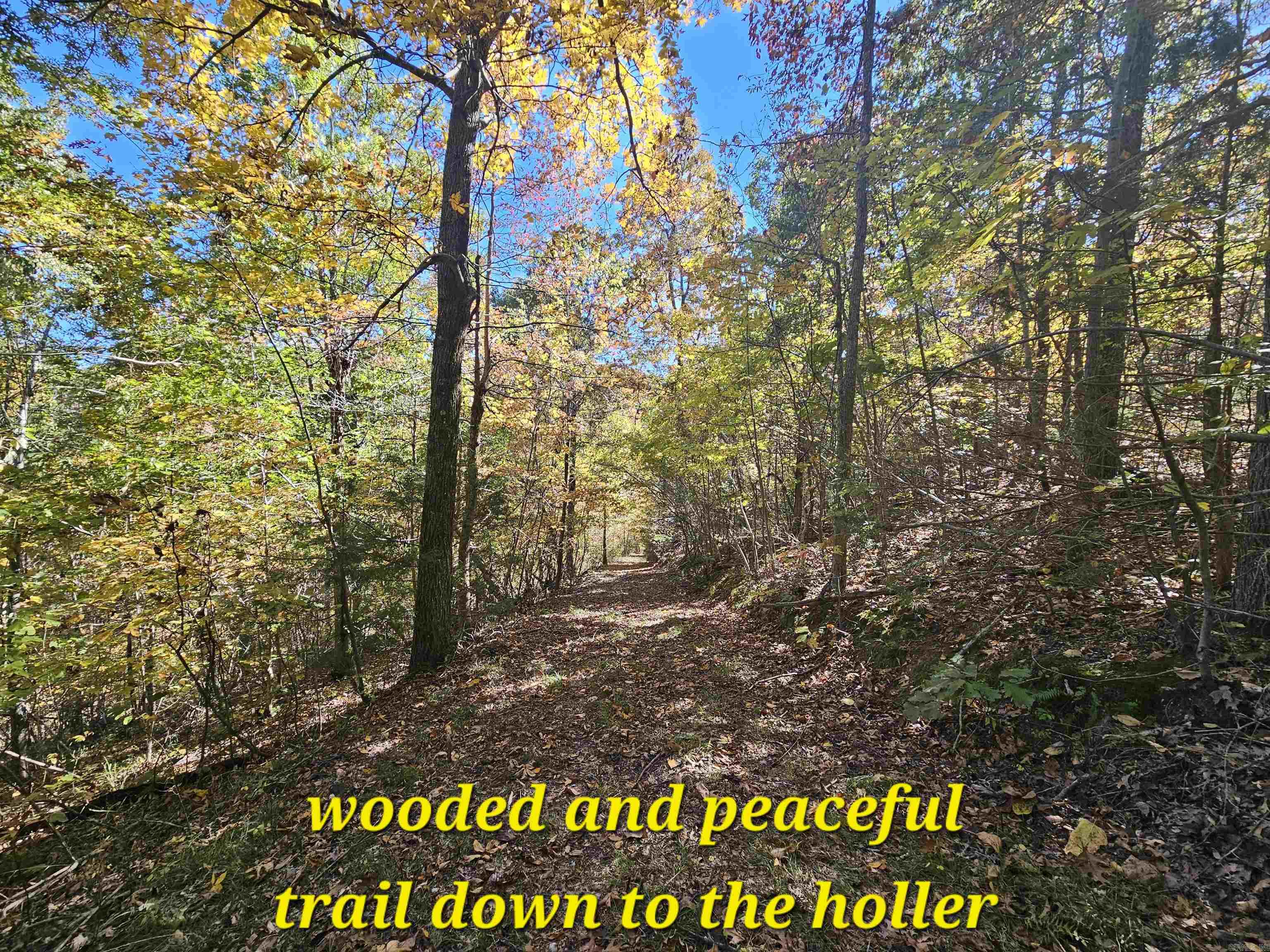 234 N Ridgeway Way Marshall, AR 72650