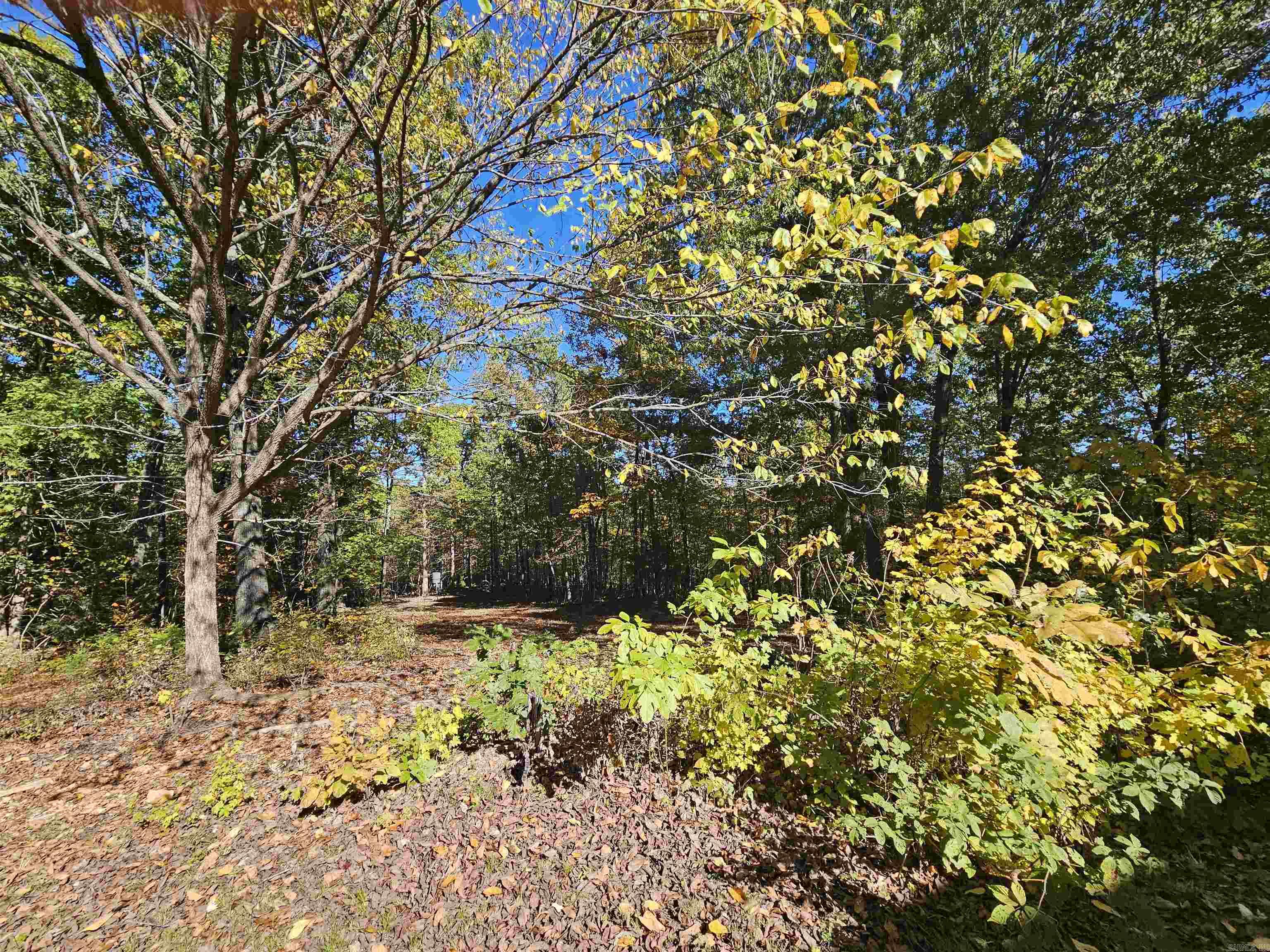 234 N Ridgeway Way Marshall, AR 72650